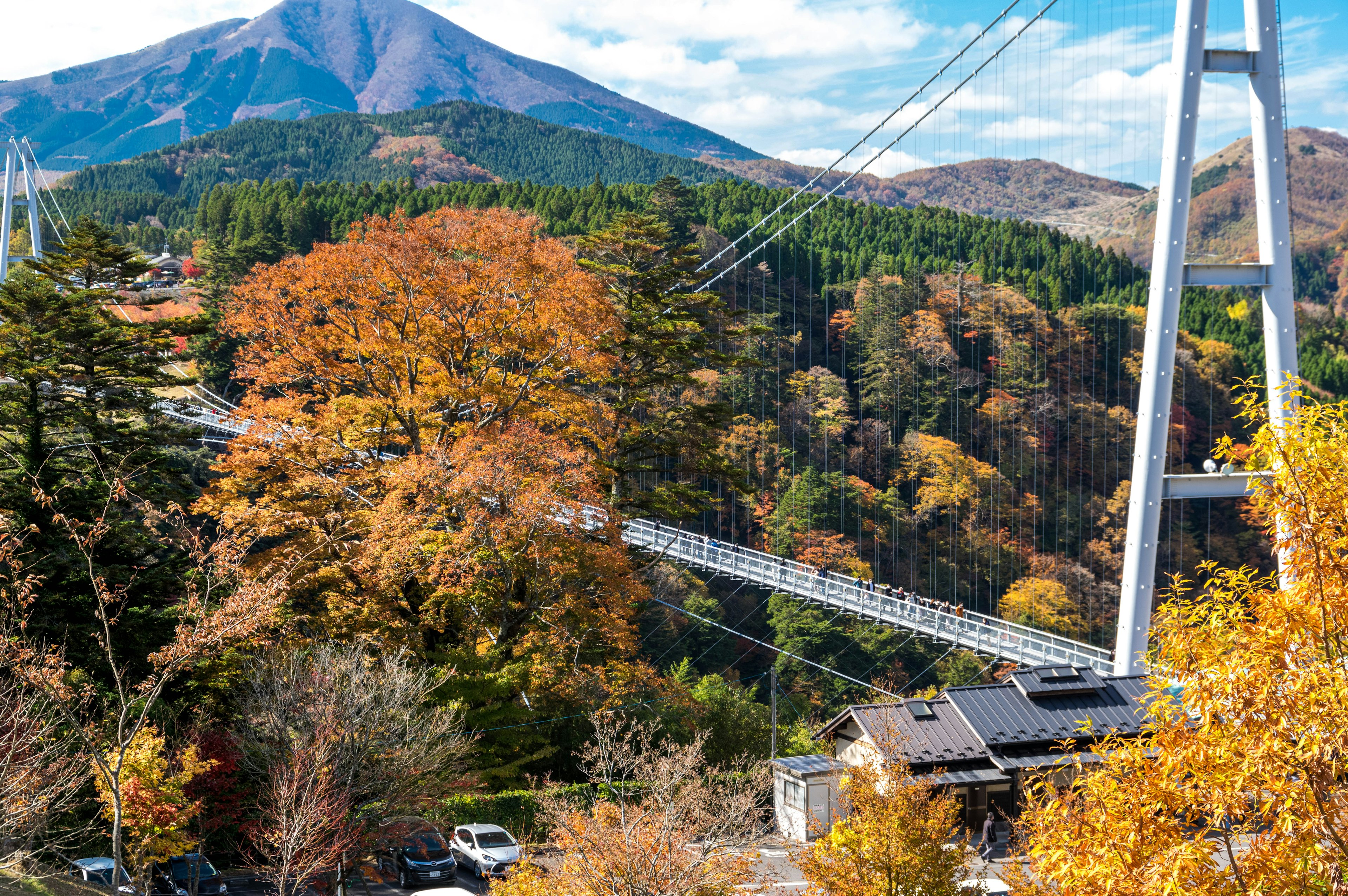 Malersicher Blick auf Herbstlaub und eine Hängebrücke