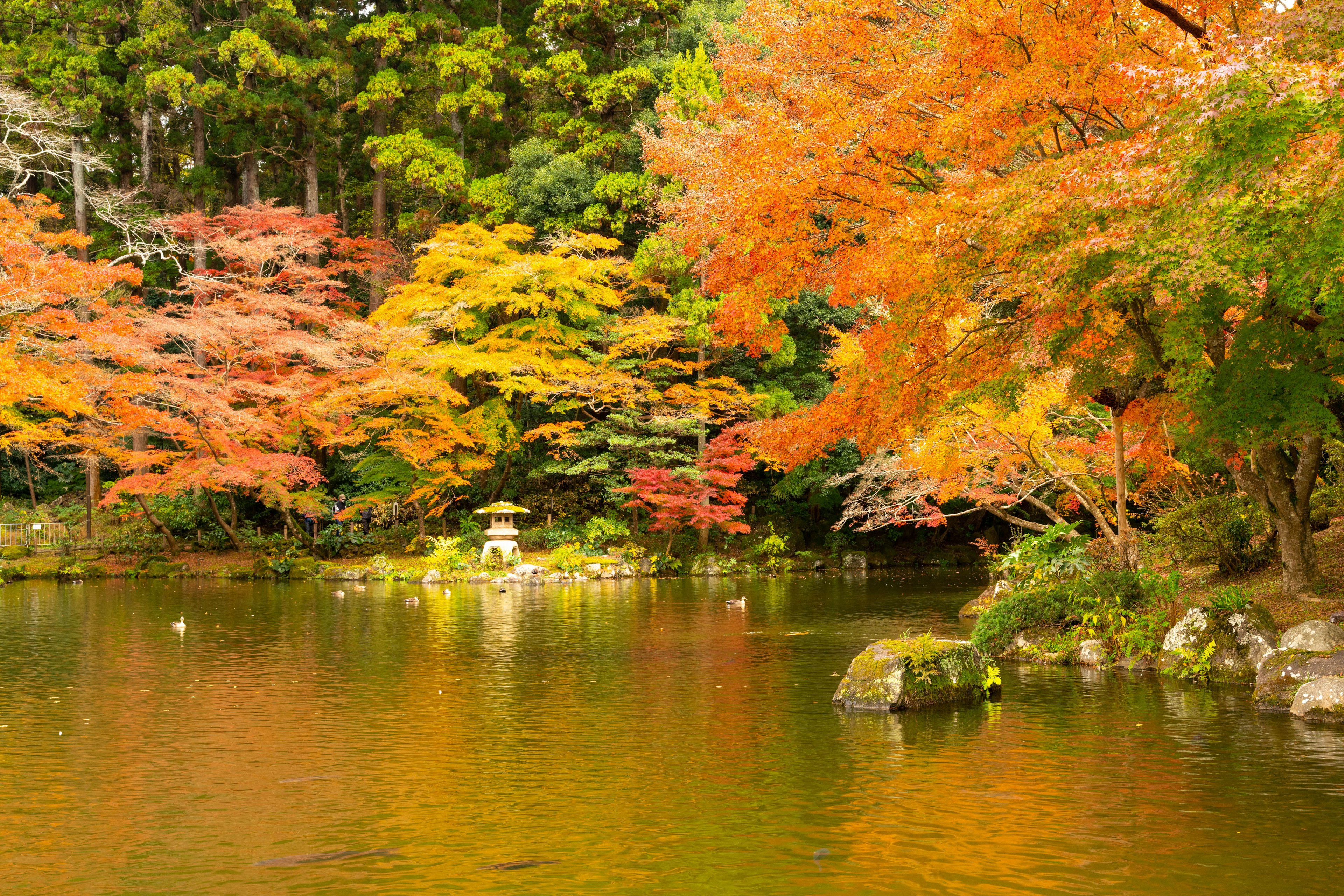 Schöne Landschaft mit Herbstlaub, das einen ruhigen Teich umgibt