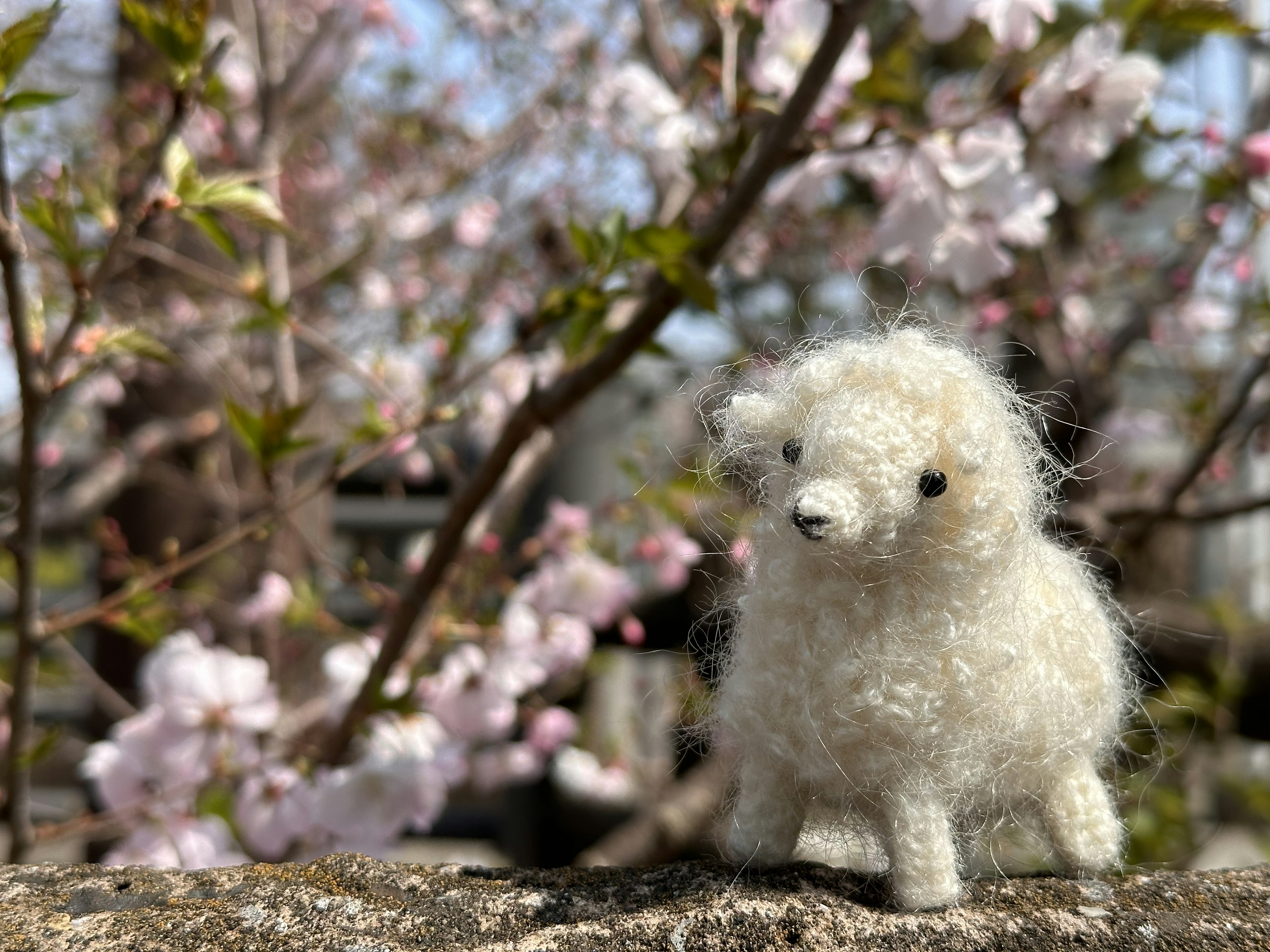 桜の花の前にいる白い羊のぬいぐるみ