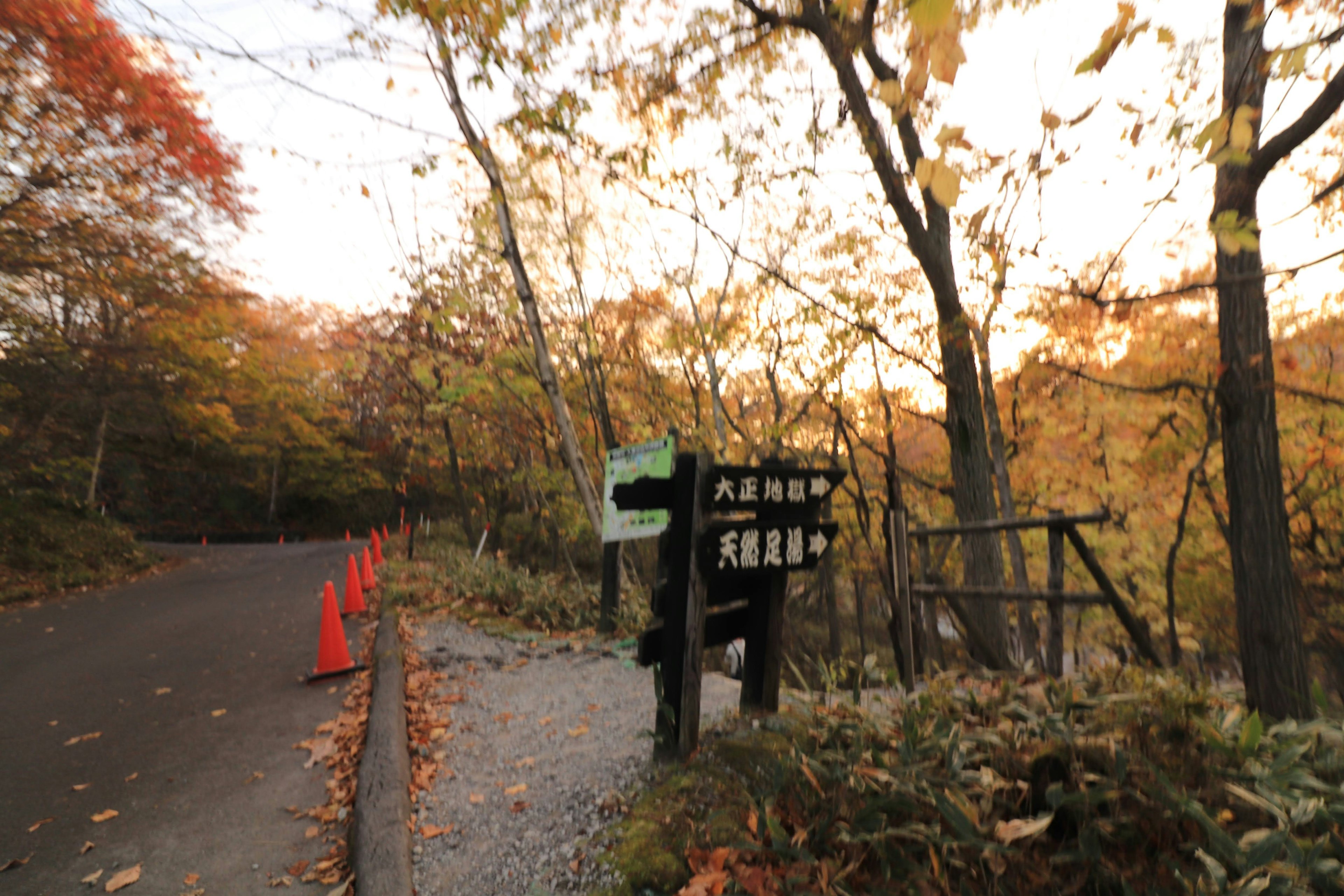 Panneau au bord d'une route entouré d'arbres aux couleurs d'automne