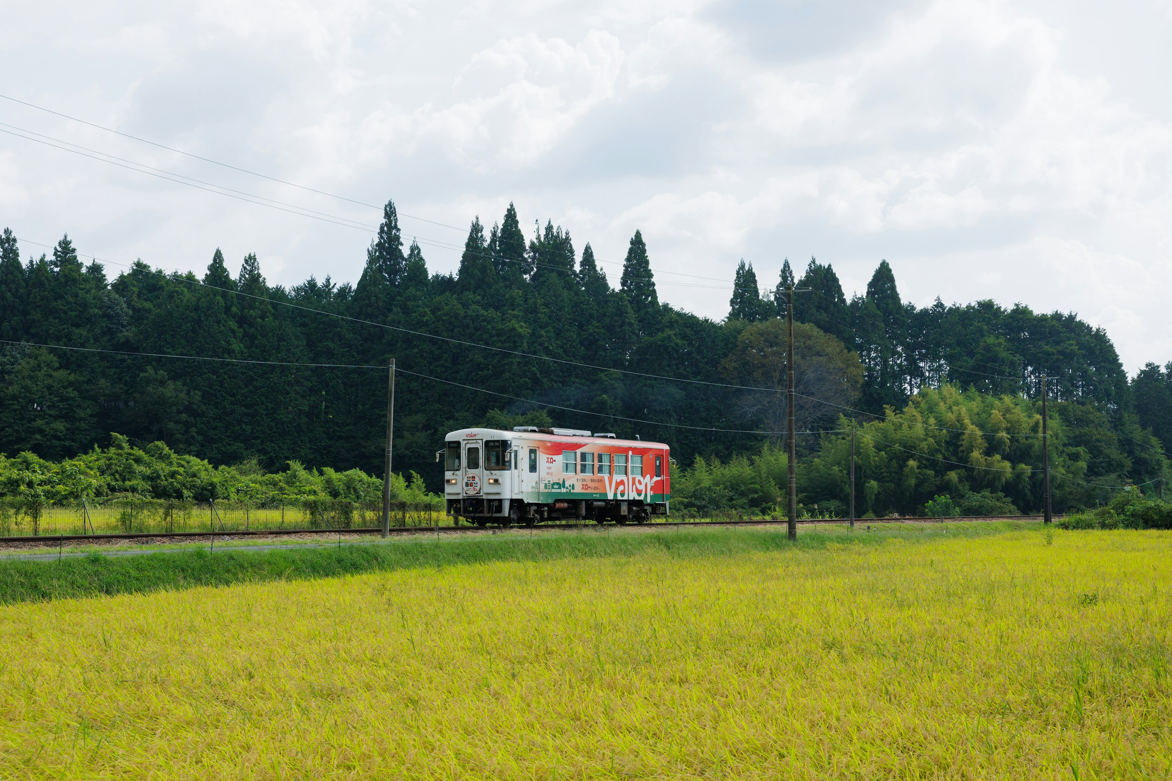 Red and white train running through a rural landscape with green trees