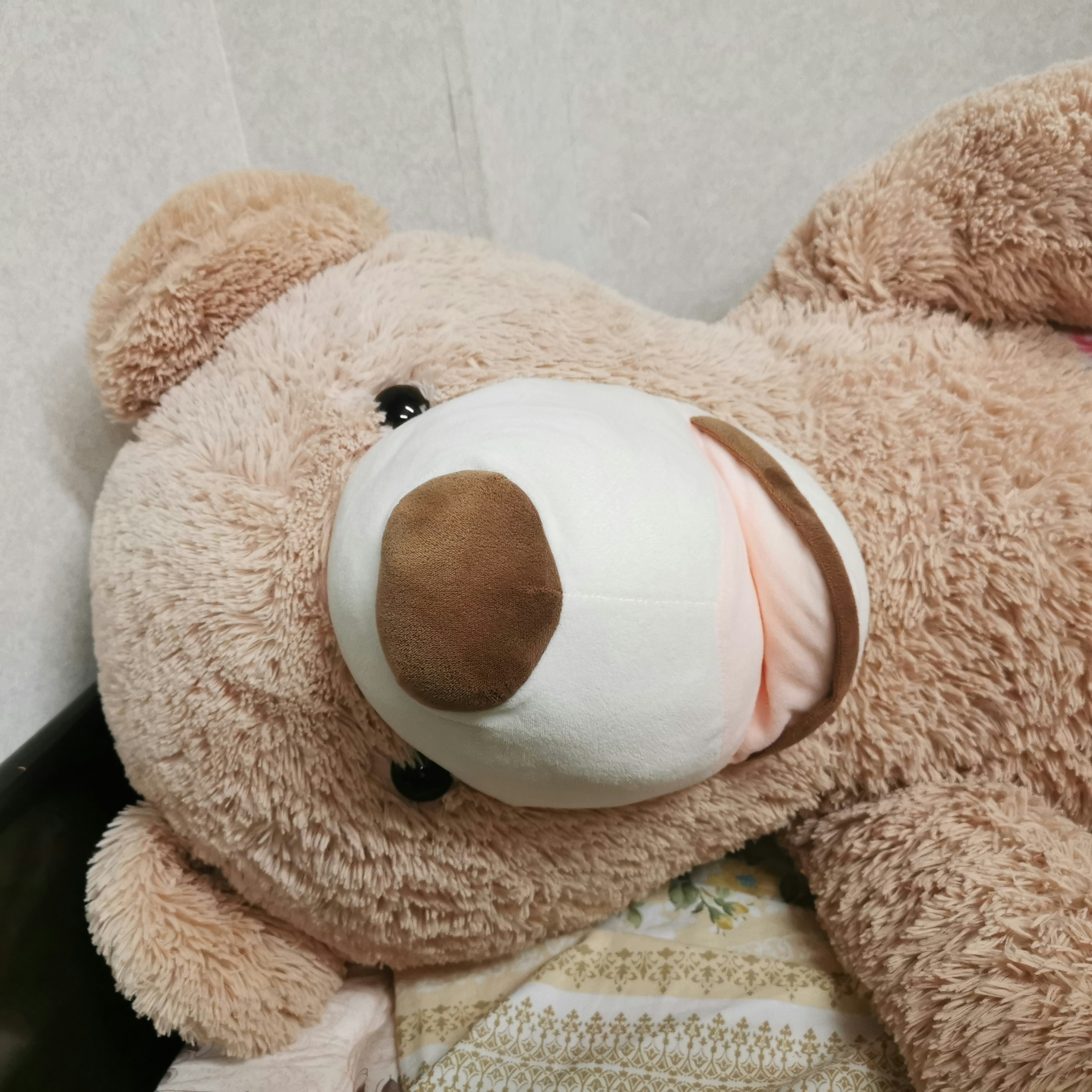 A soft brown teddy bear lying down