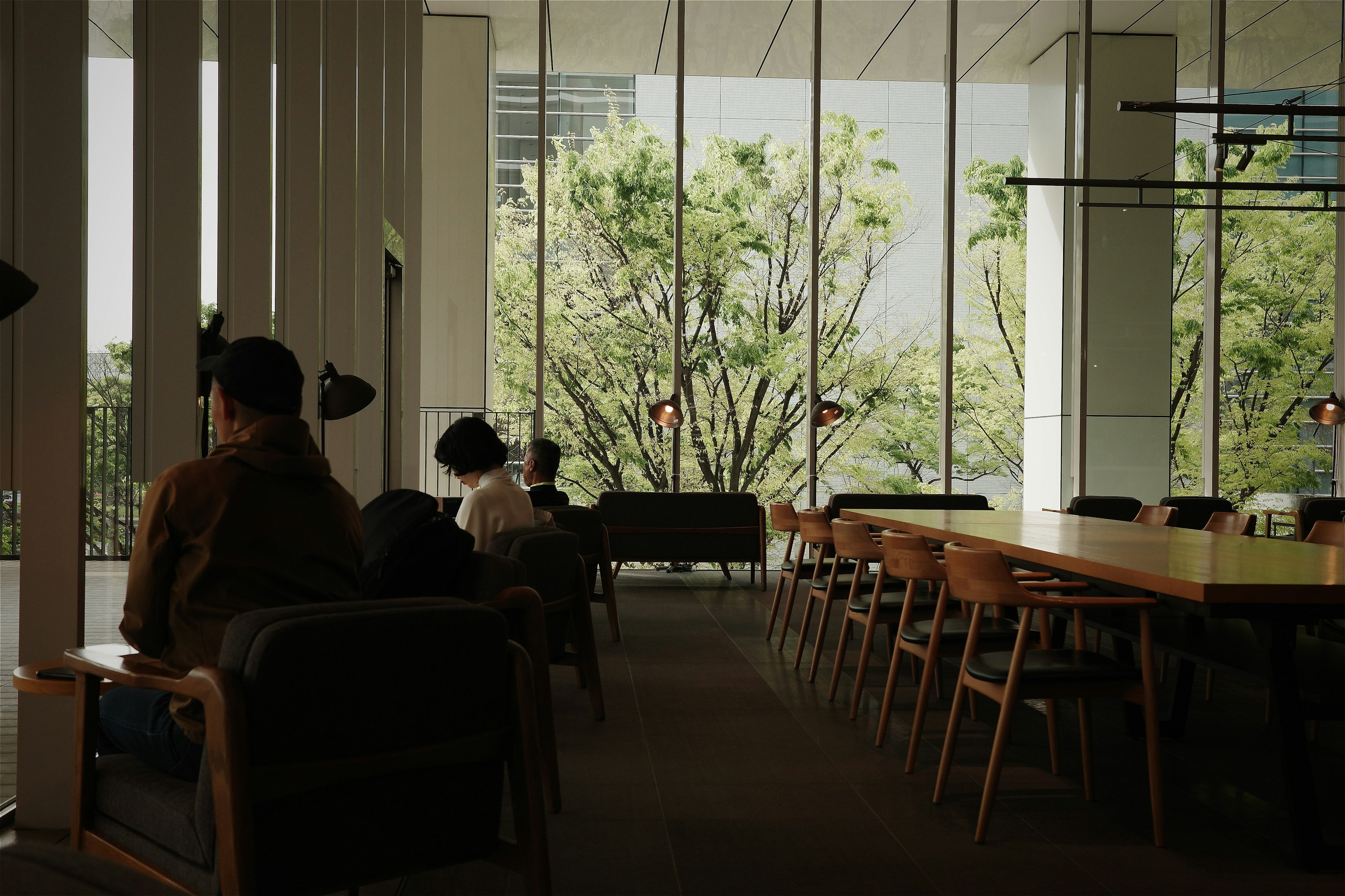 Interior of a modern café with bright windows people sitting and green trees outside