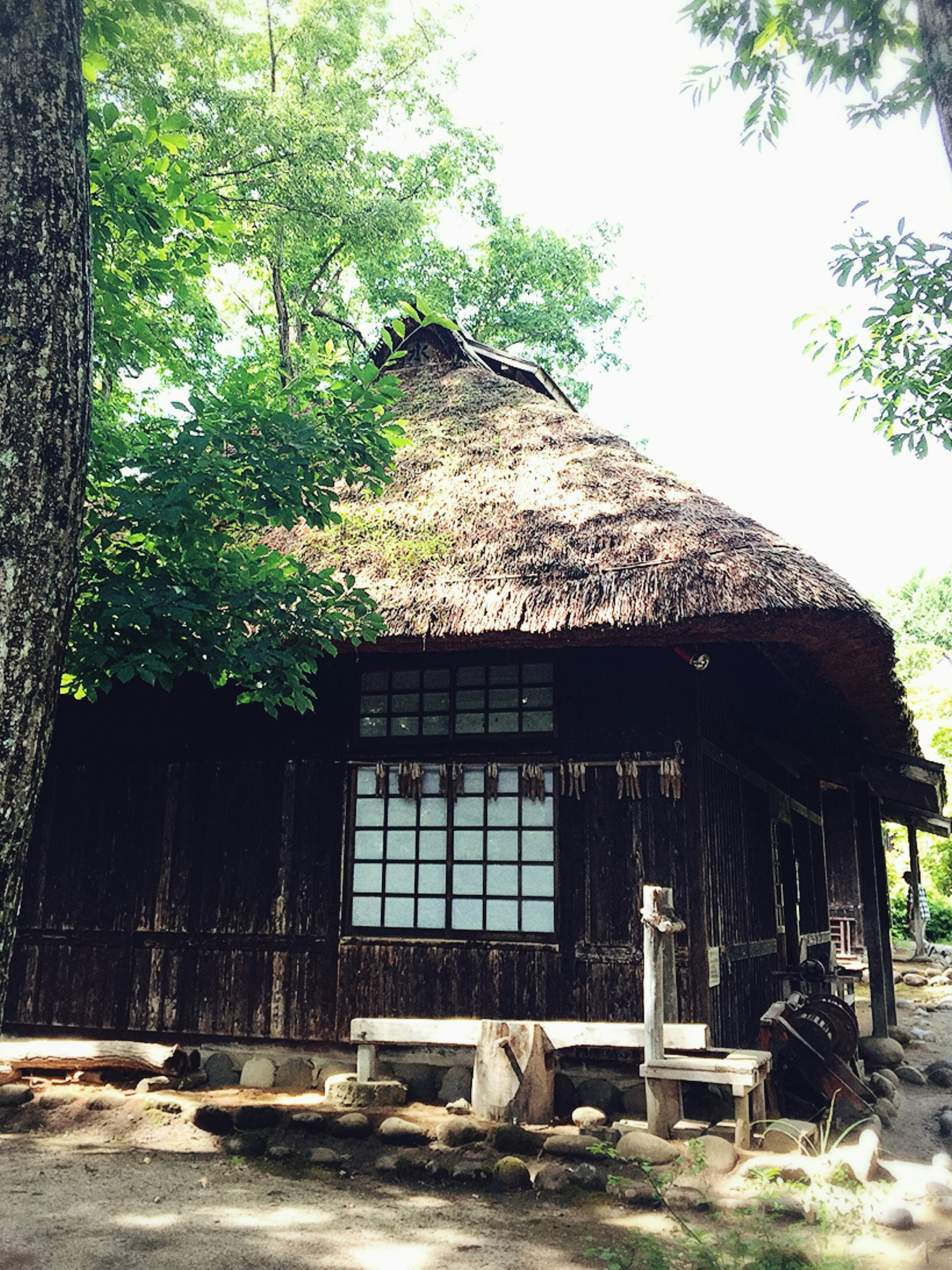 Traditionelles japanisches Haus mit Reetdach, umgeben von Bäumen