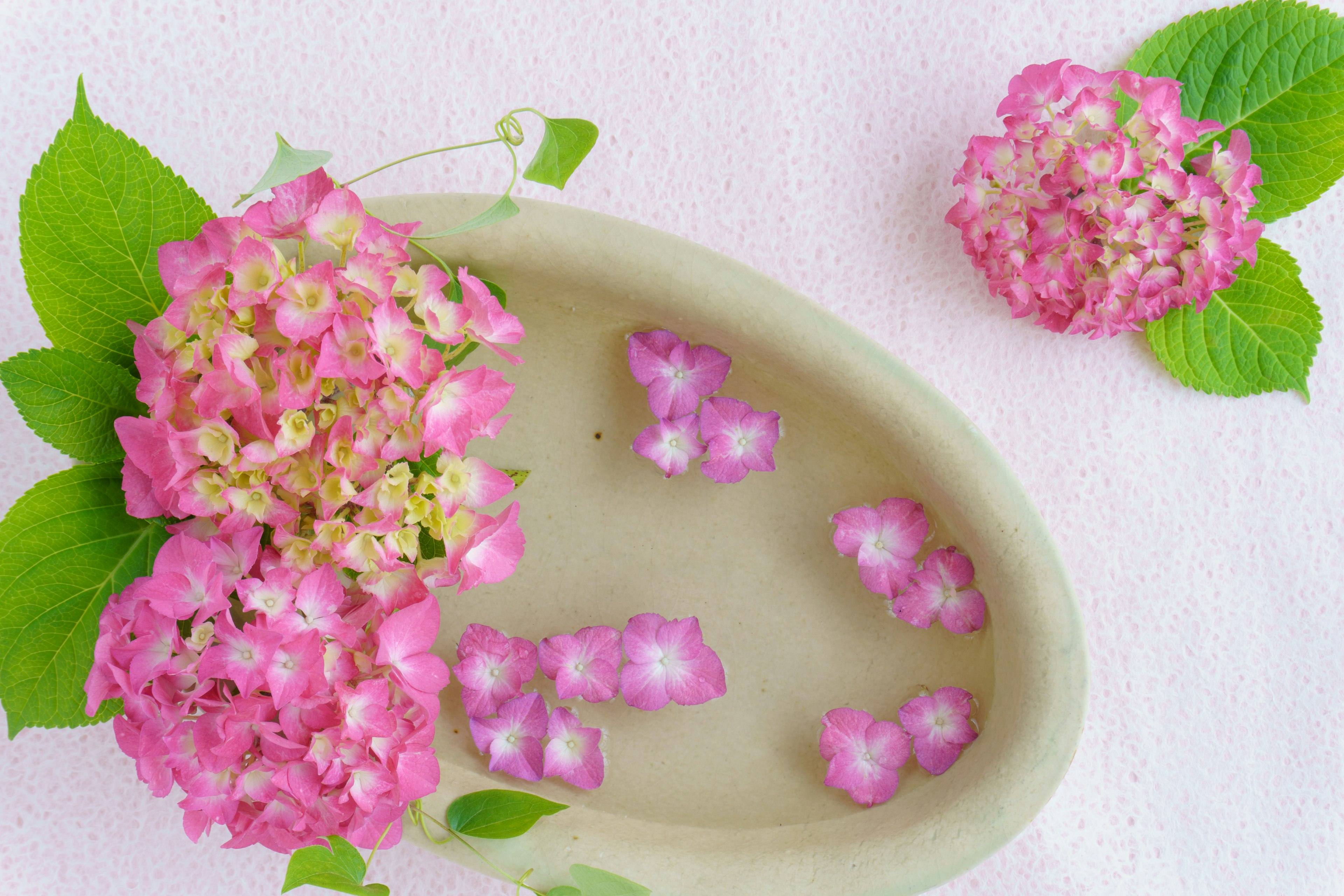 Ceramic dish with pink flowers and green leaves