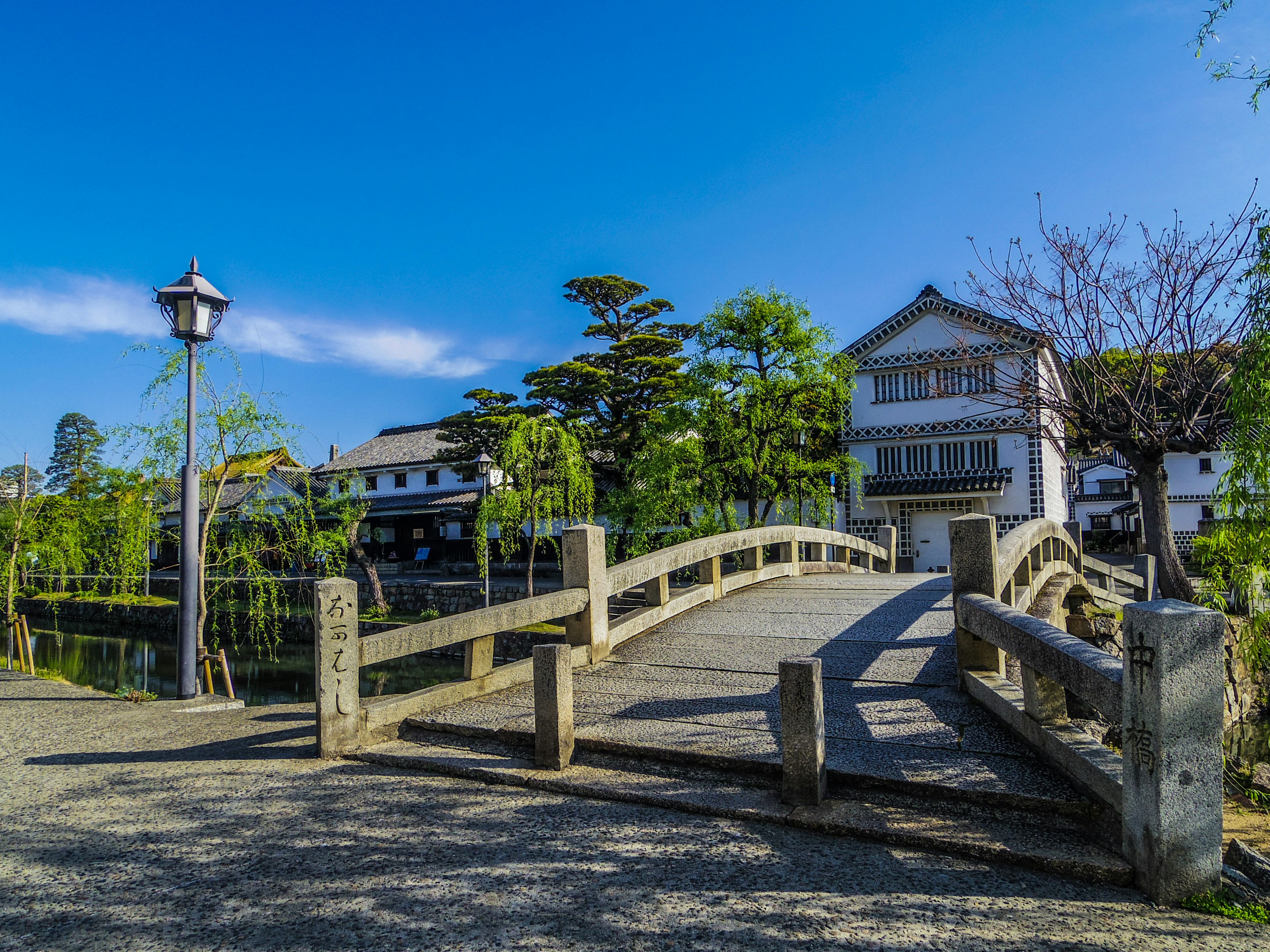 Wooden bridge under a blue sky surrounded by greenery