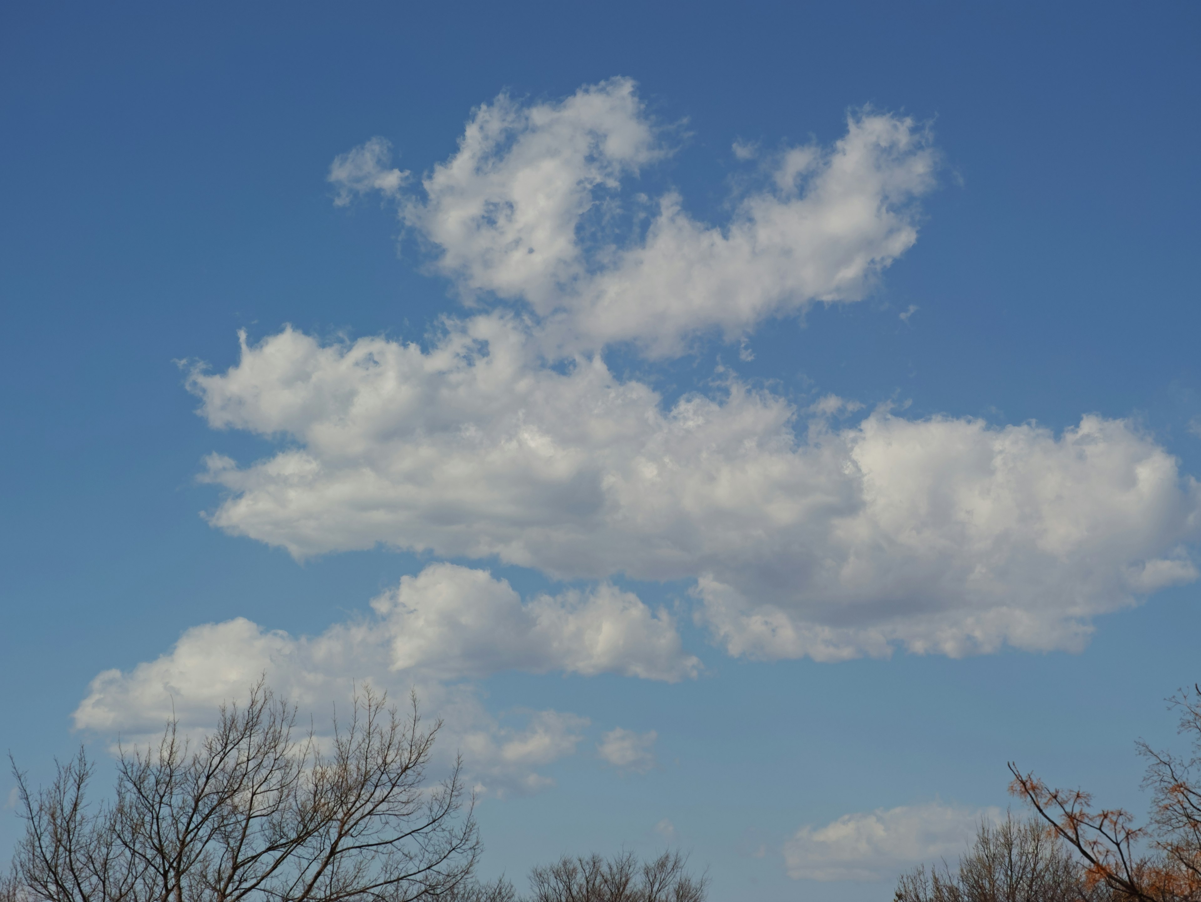 Nubes blancas flotando en un cielo azul con siluetas de árboles