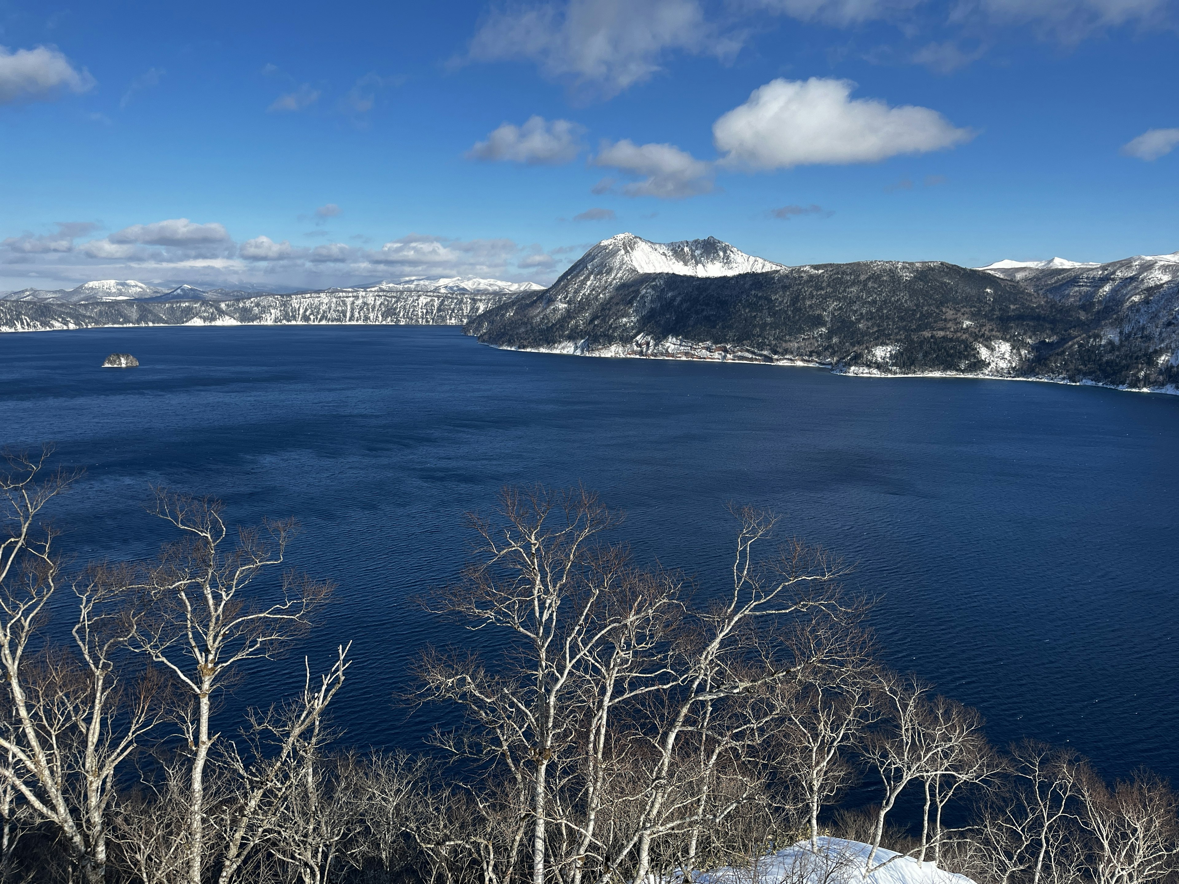 Bellissimo paesaggio di alberi innevati e un lago blu