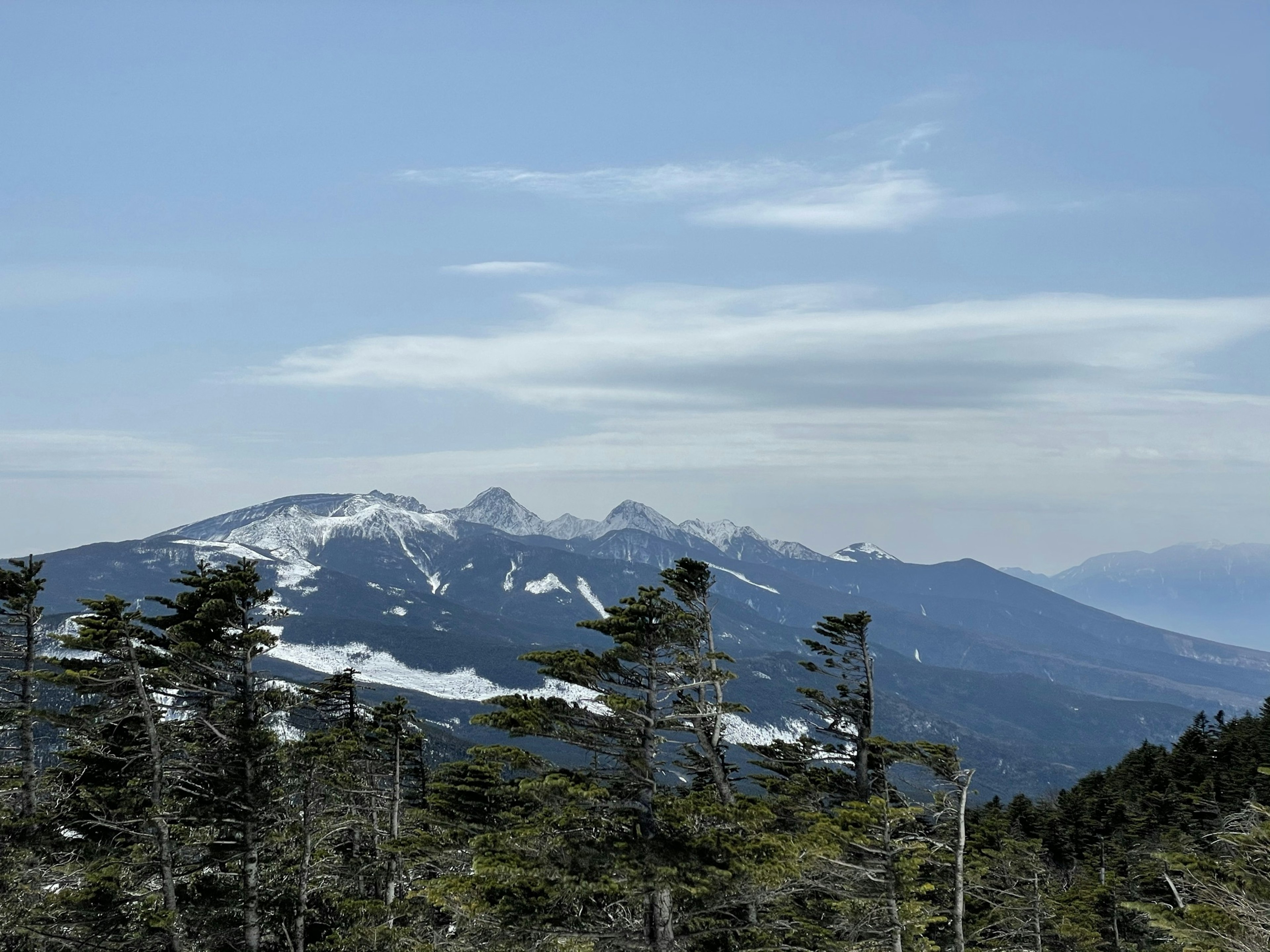 Snow-capped mountain range with green trees in the foreground