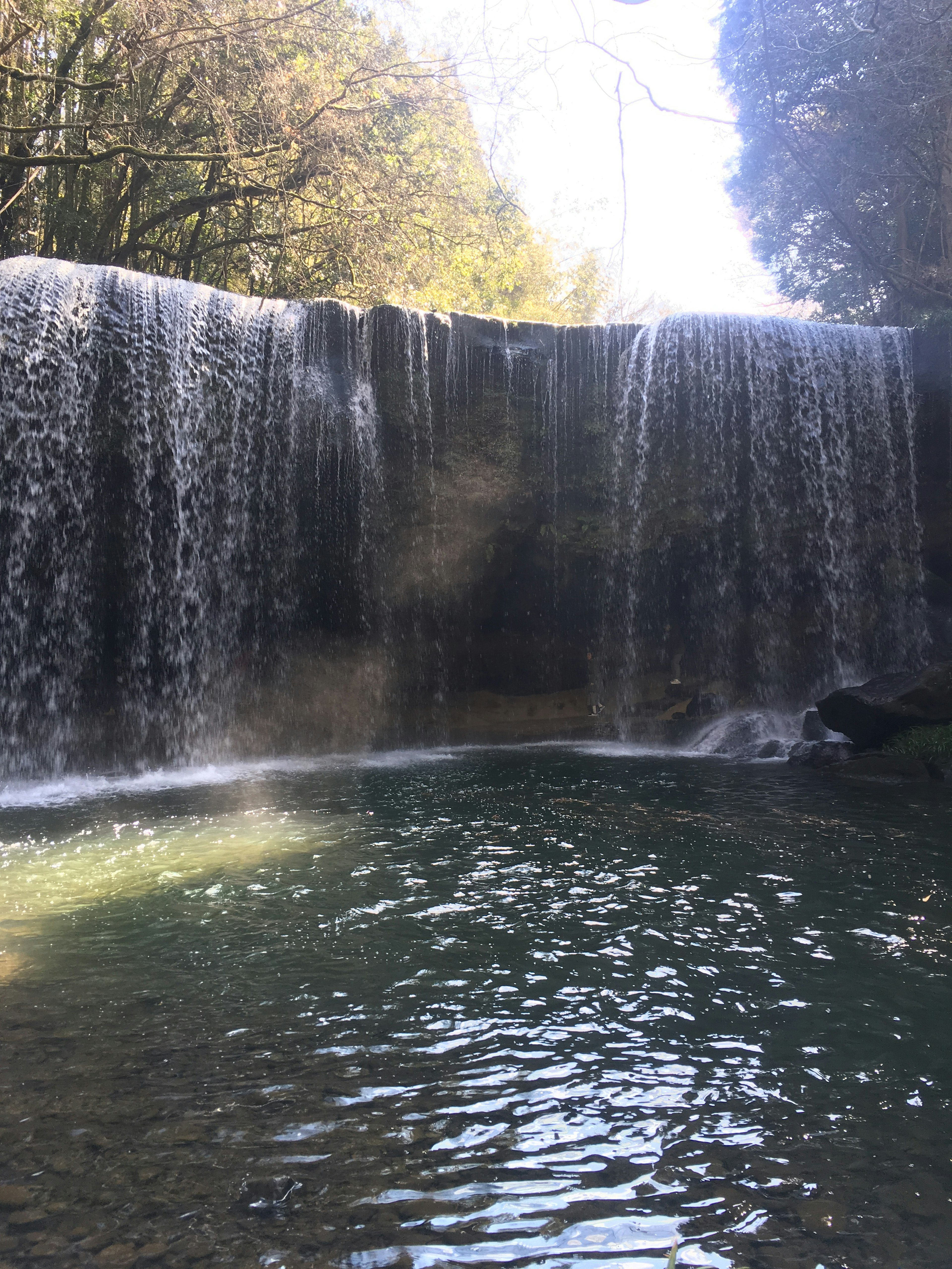 Beautiful waterfall surrounded by lush greenery