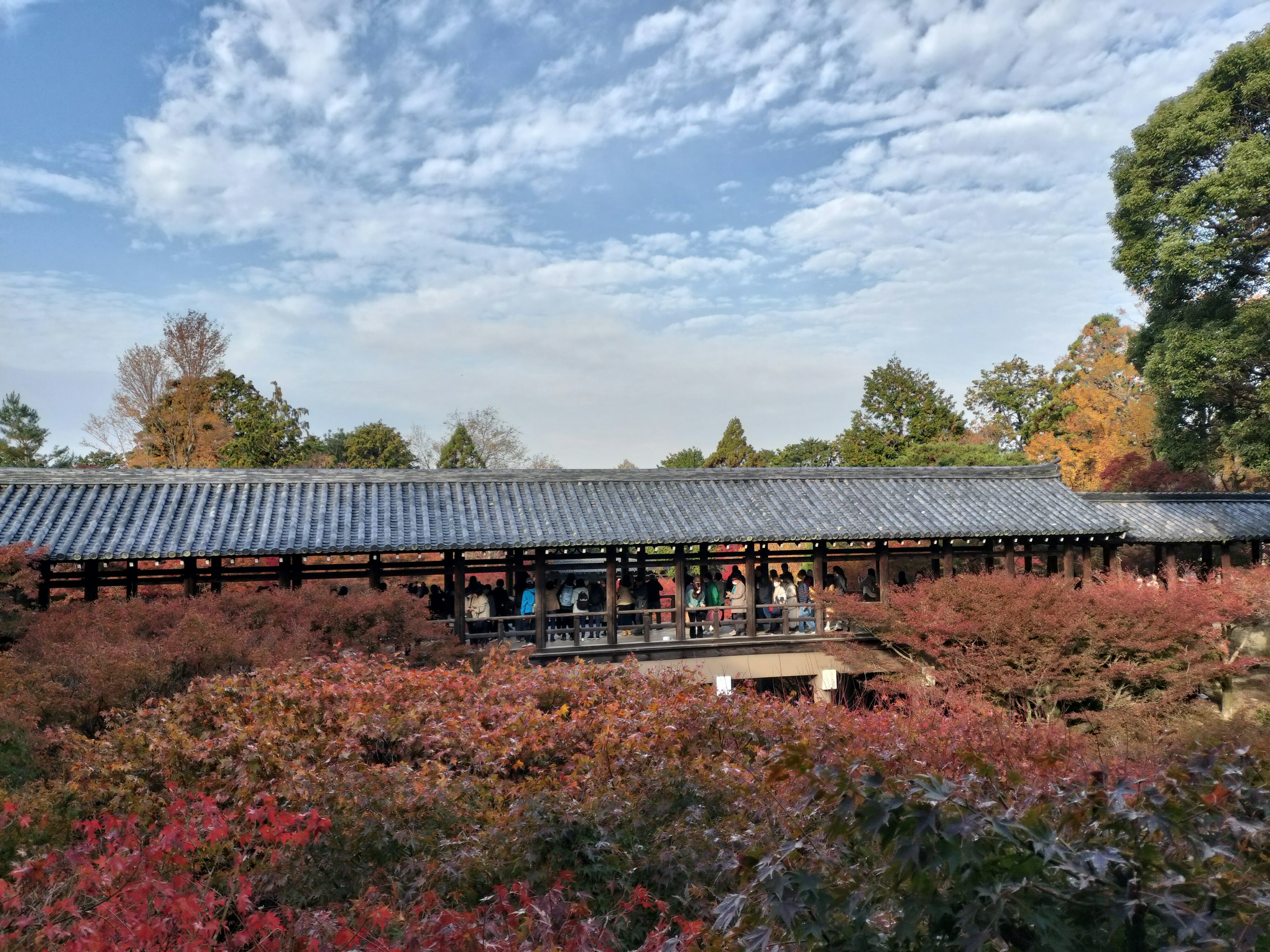 美しい紅葉に囲まれた古い建物と人々の集まり