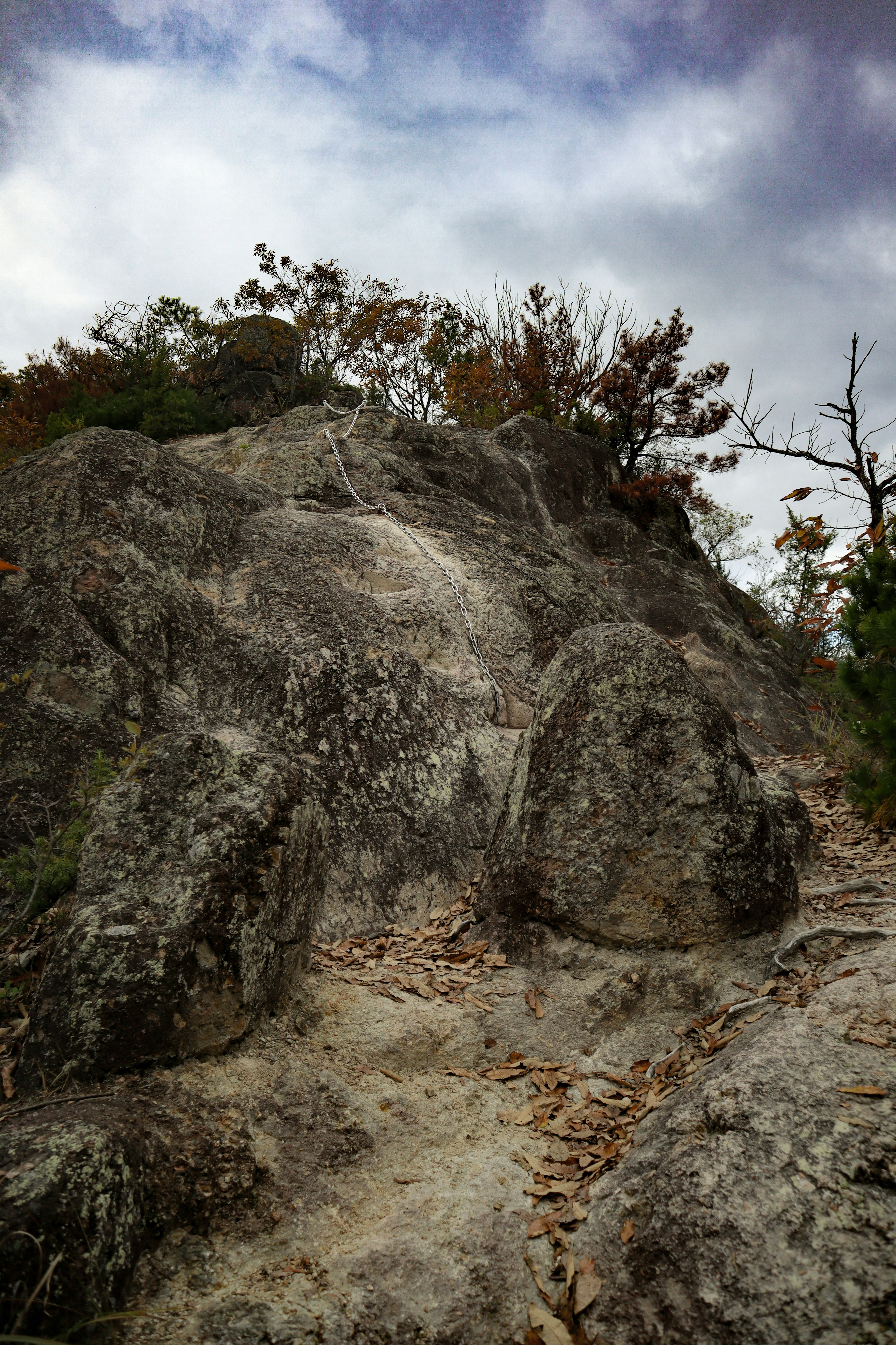 Steep rocky hill with scattered trees and cloudy sky