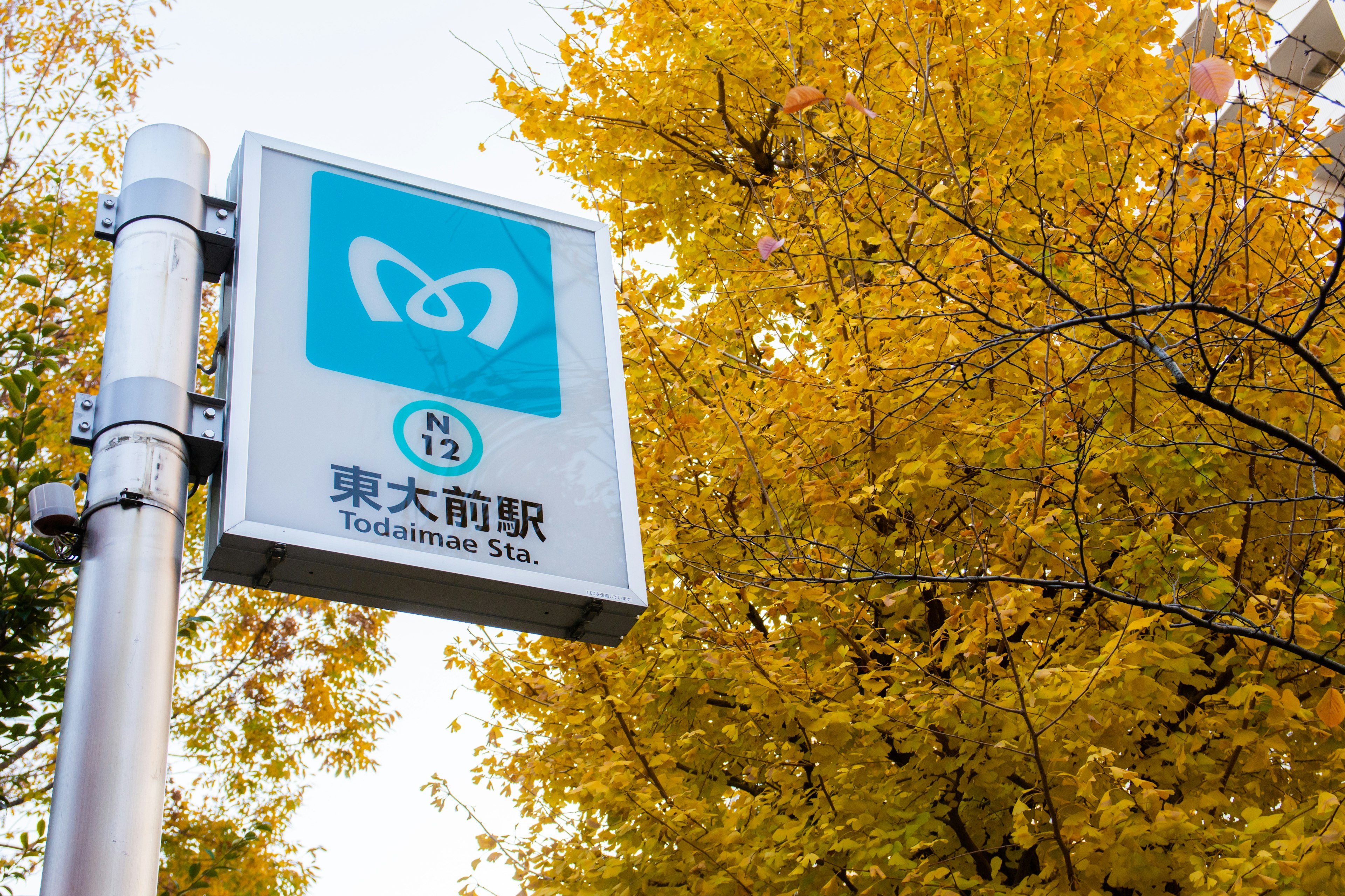 U-Bahn-Station-Schild in Tokio mit gelben Blättern