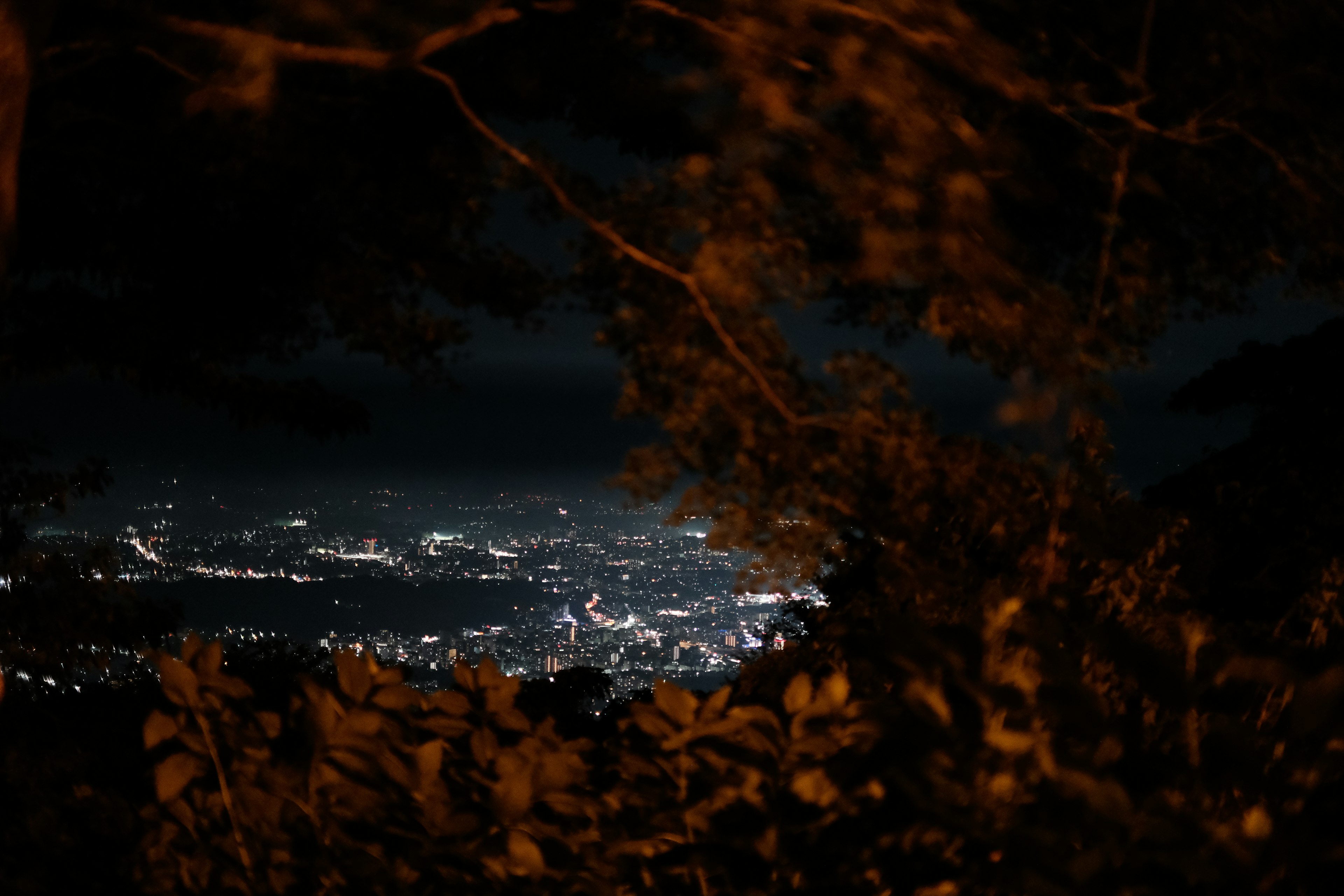 Vue nocturne d'une ville avec des silhouettes d'arbres