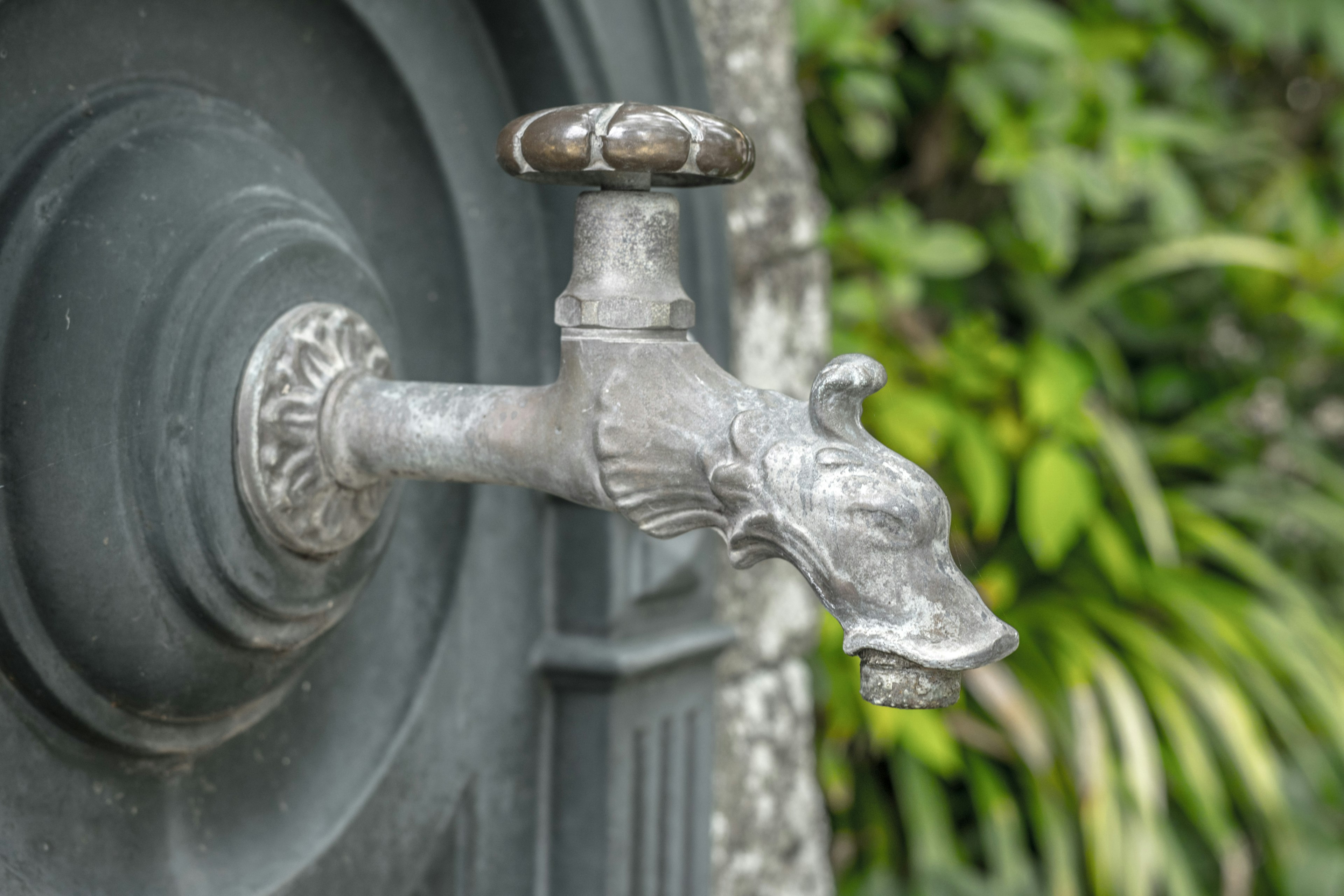 Robinet décoratif avec un design de dragon monté sur un mur entouré de verdure