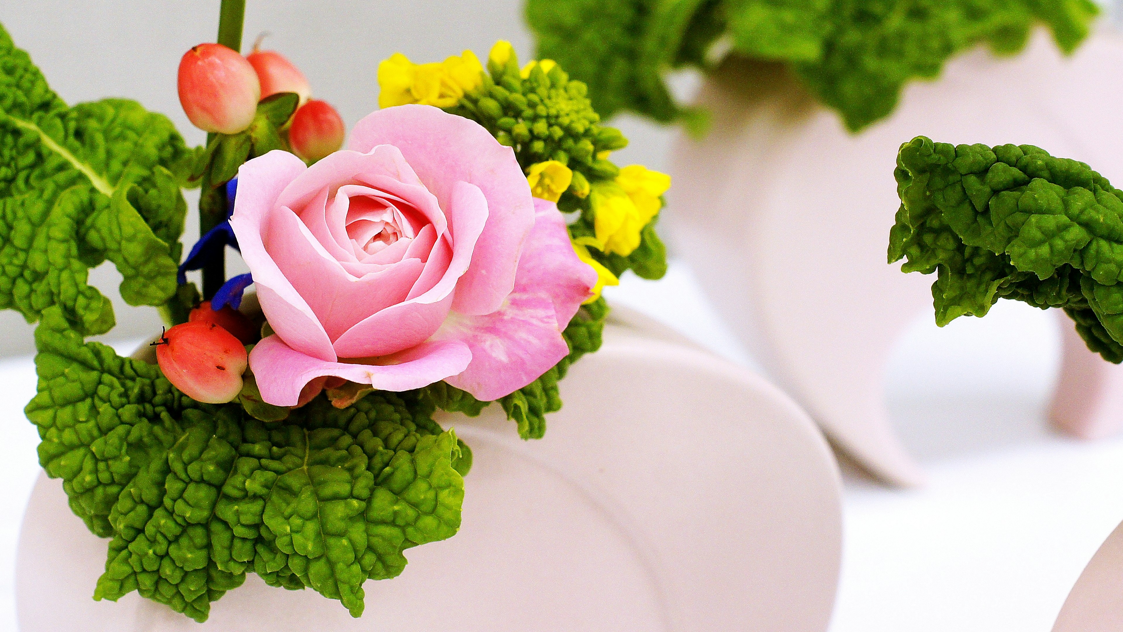 A pink rose and green leaves in a white ceramic vase arrangement