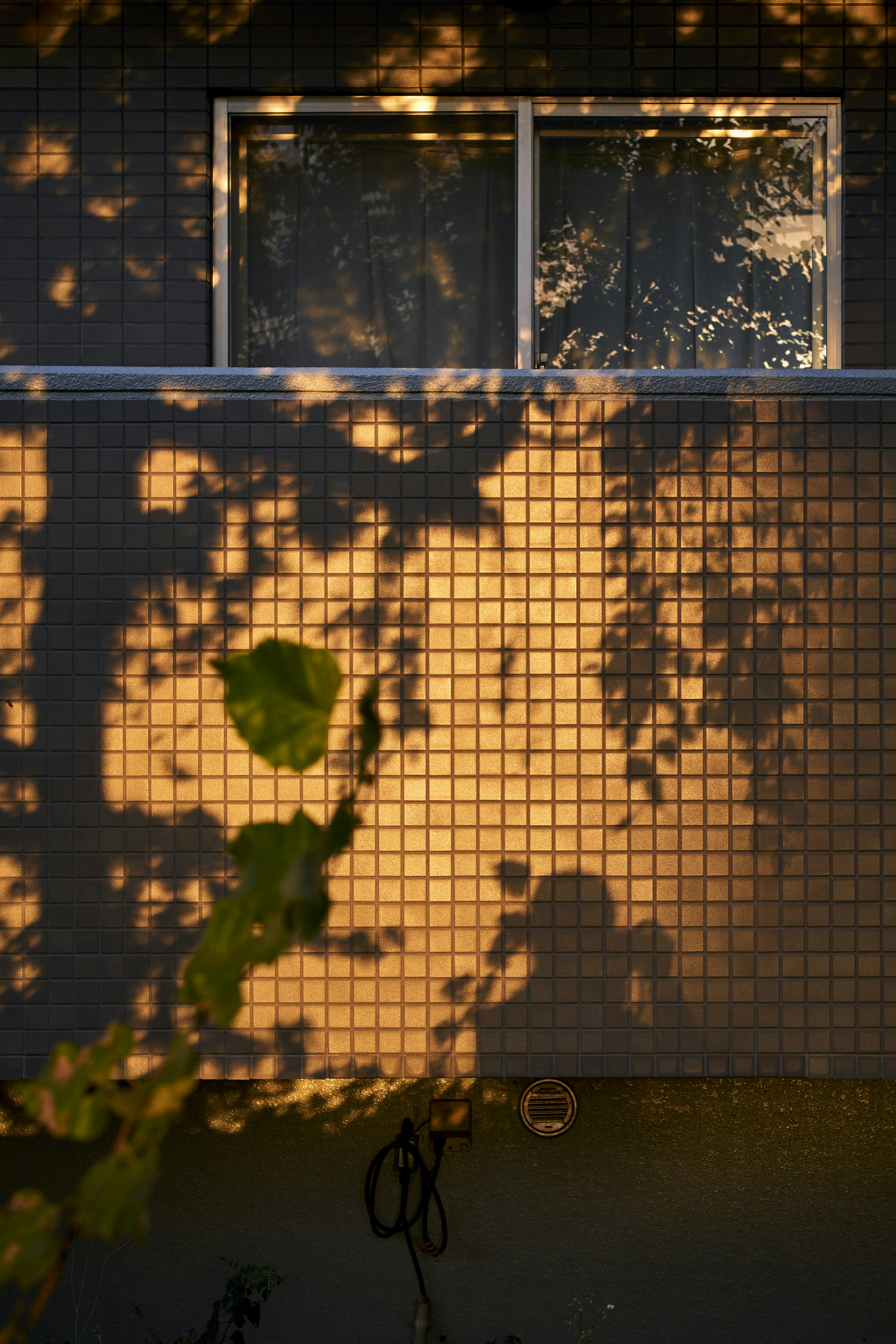 Schöner Kontrast von Sonnenlicht auf einem Fenster mit Schatten