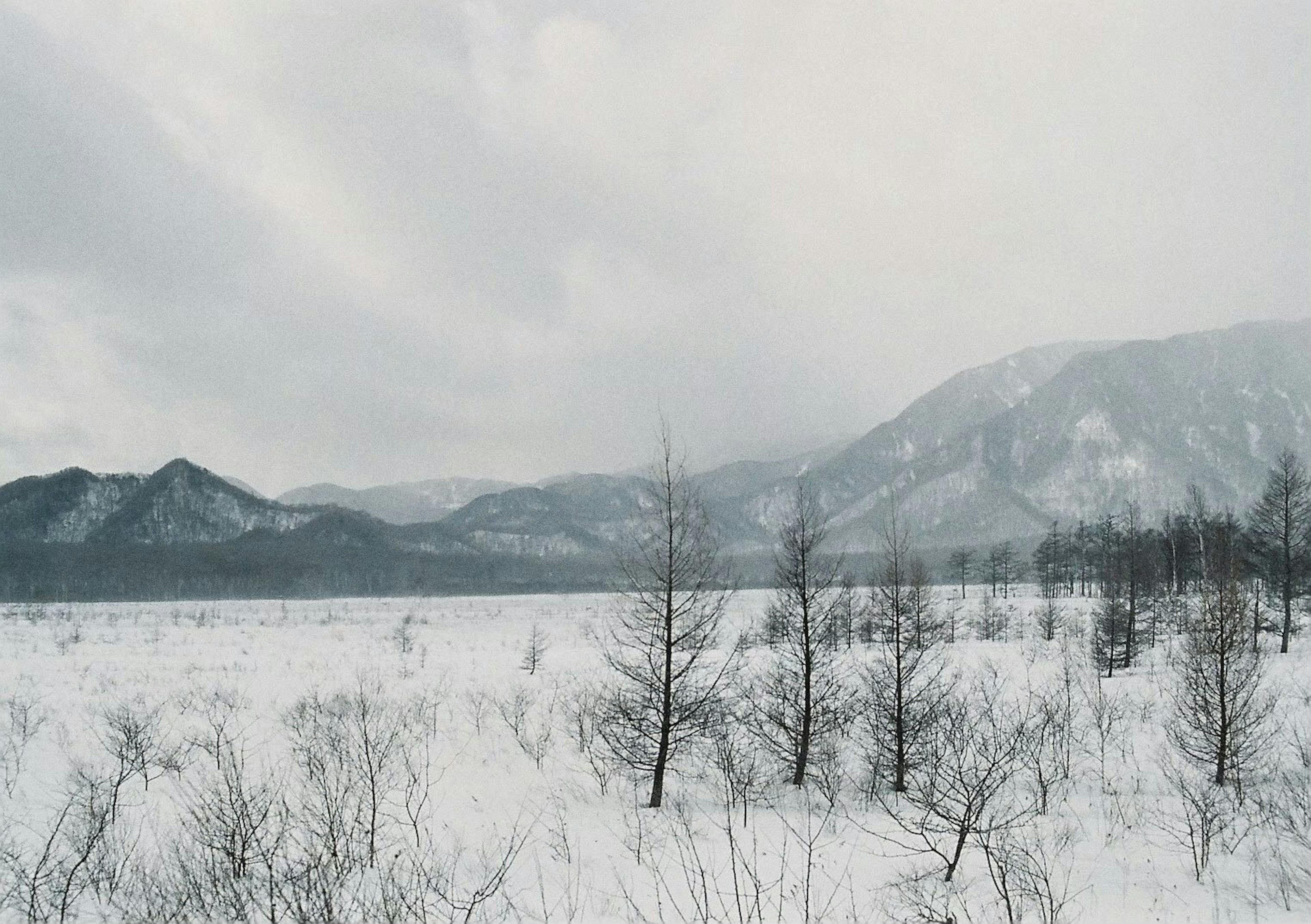 Snow-covered mountains and trees in a winter landscape