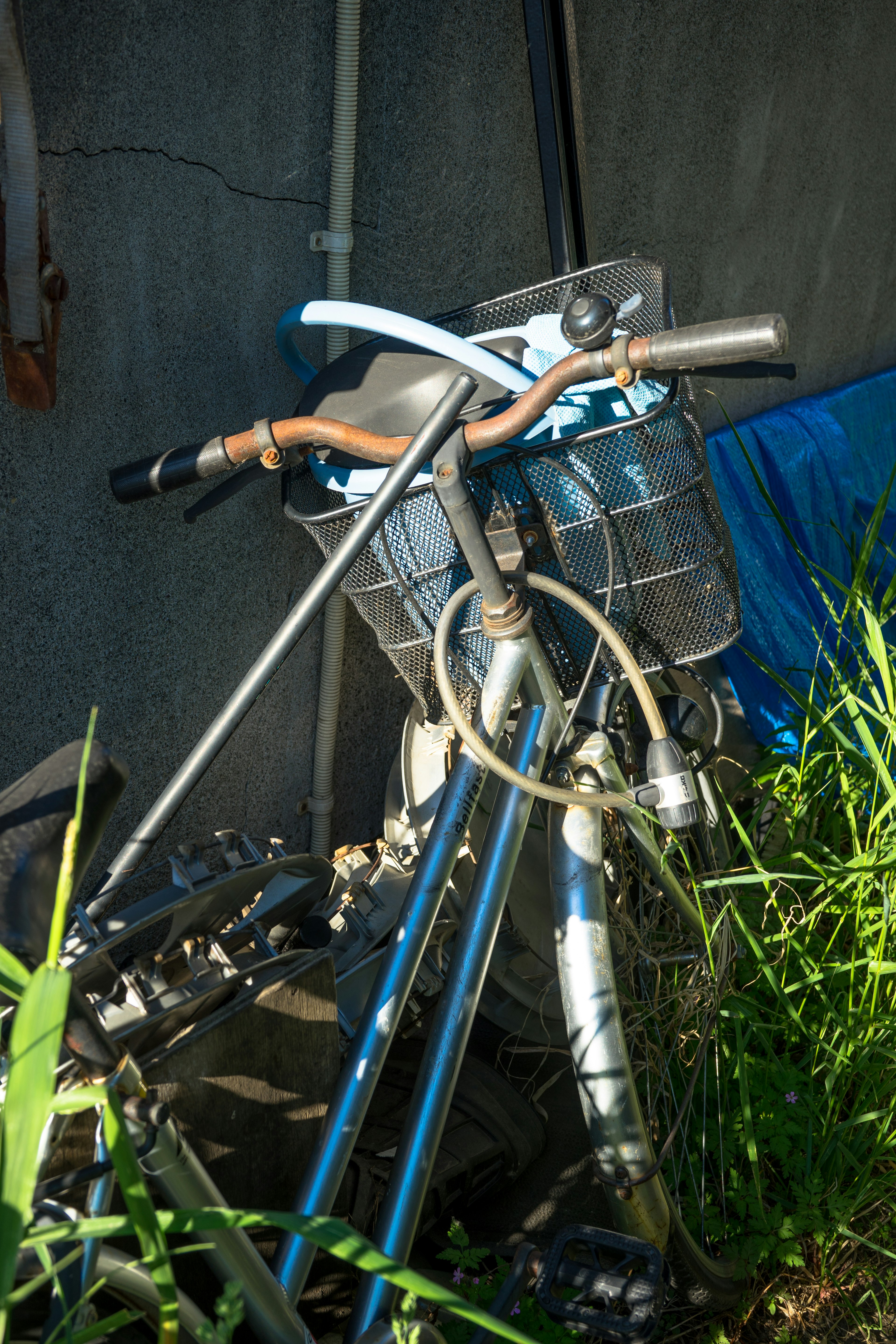 A blue bicycle partially hidden in grass