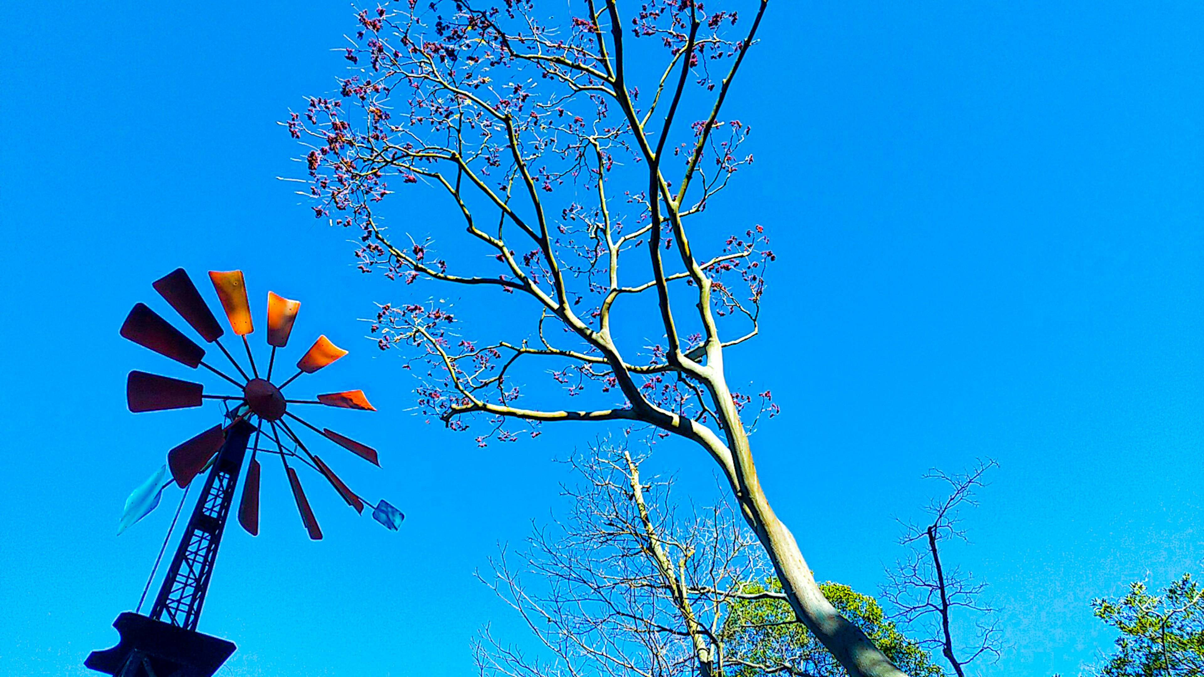 Silueta de un molino de viento y un árbol bajo un cielo azul