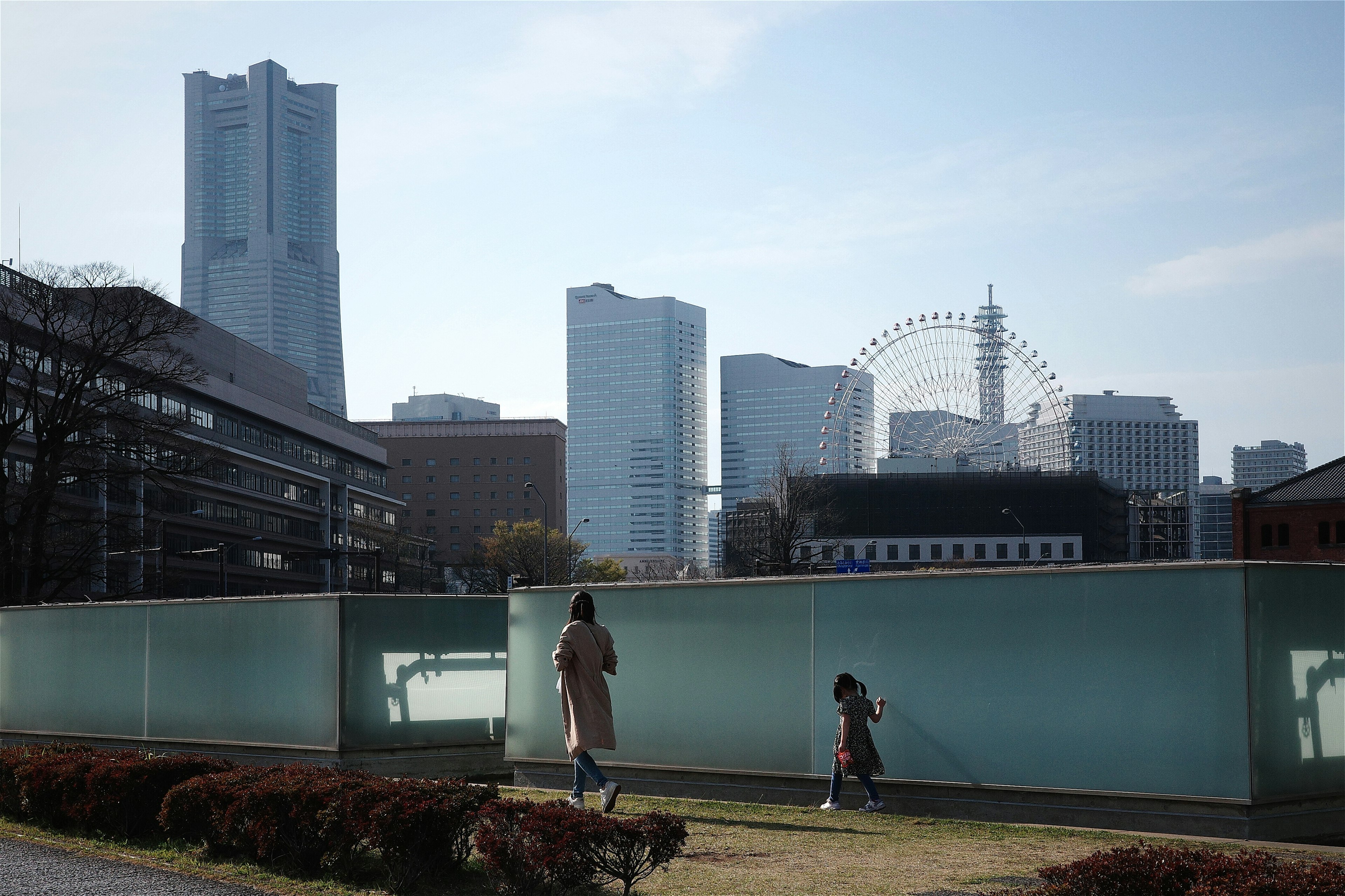 横浜の近代的なビルと観覧車を背景にした公園の風景