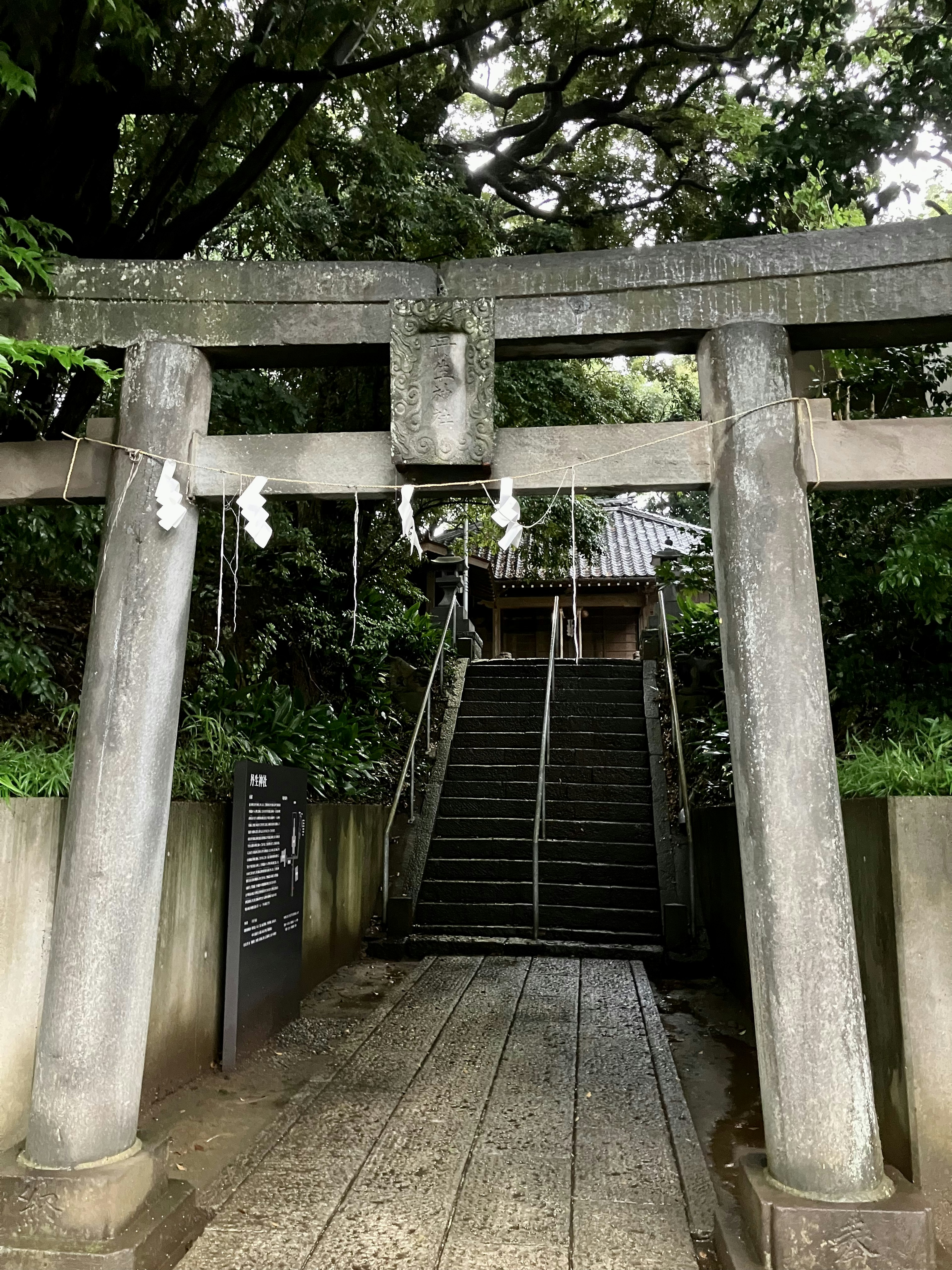 神社の鳥居と階段が見える緑豊かな風景