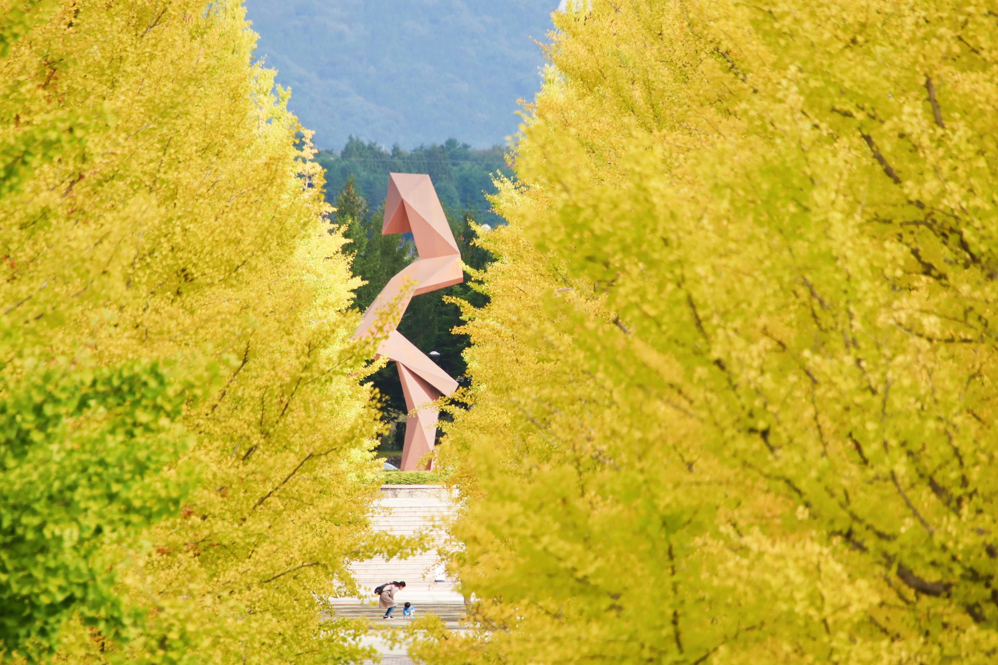 黄色いイチョウの木々に囲まれた彫刻が見える風景