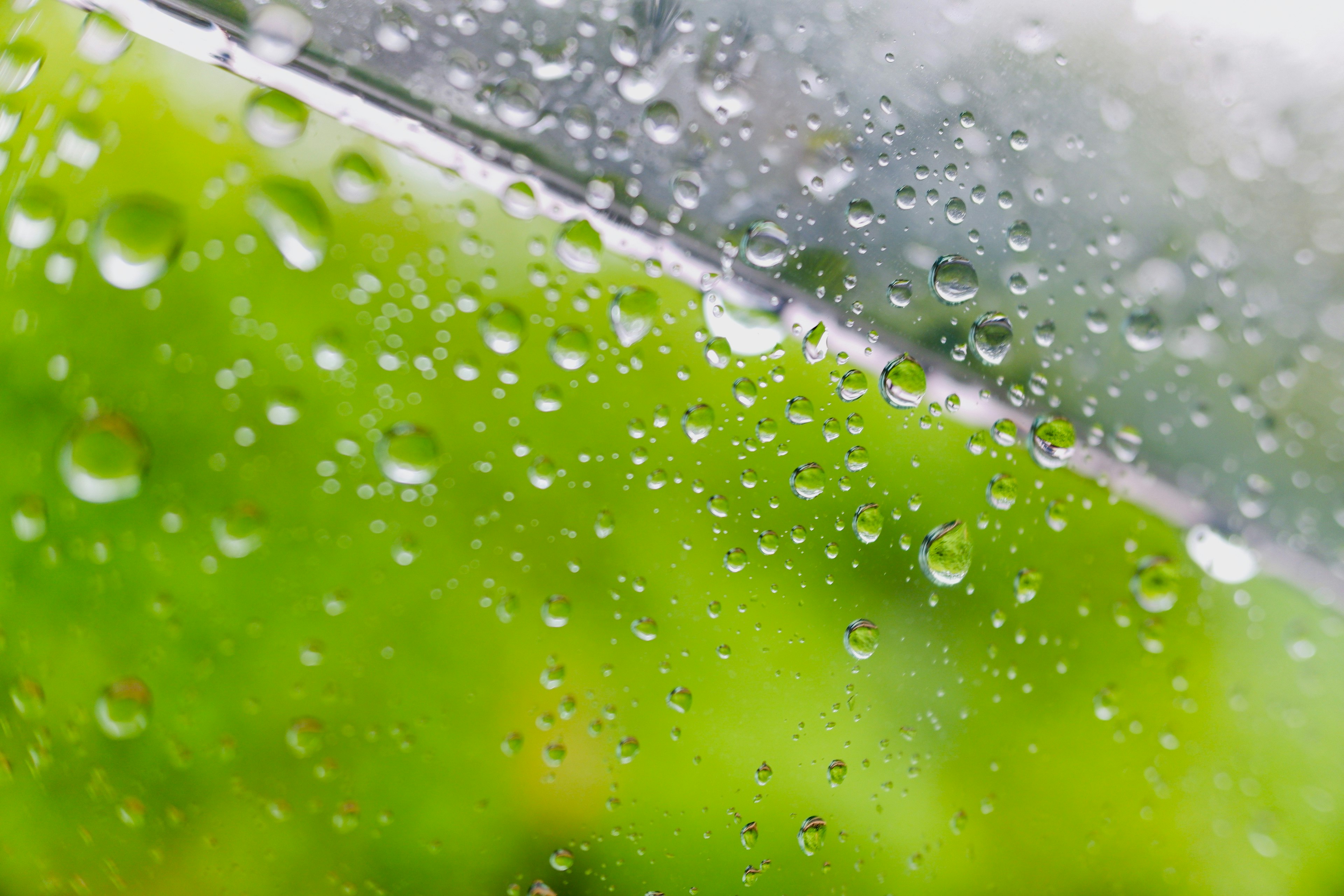 Close-up of raindrops on a transparent surface with green foliage in the background