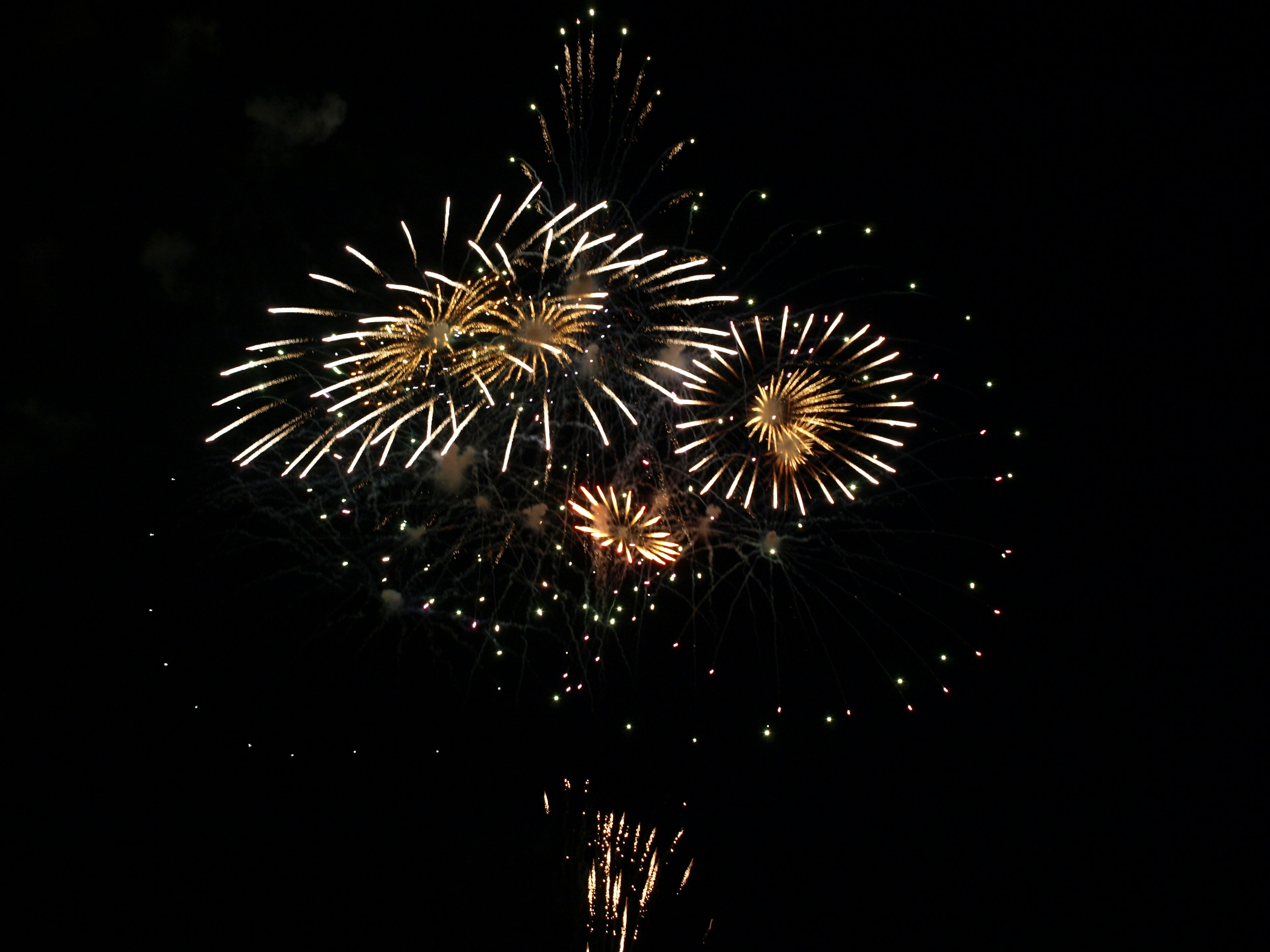 Bellissimo spettacolo di fuochi d'artificio che illumina il cielo notturno