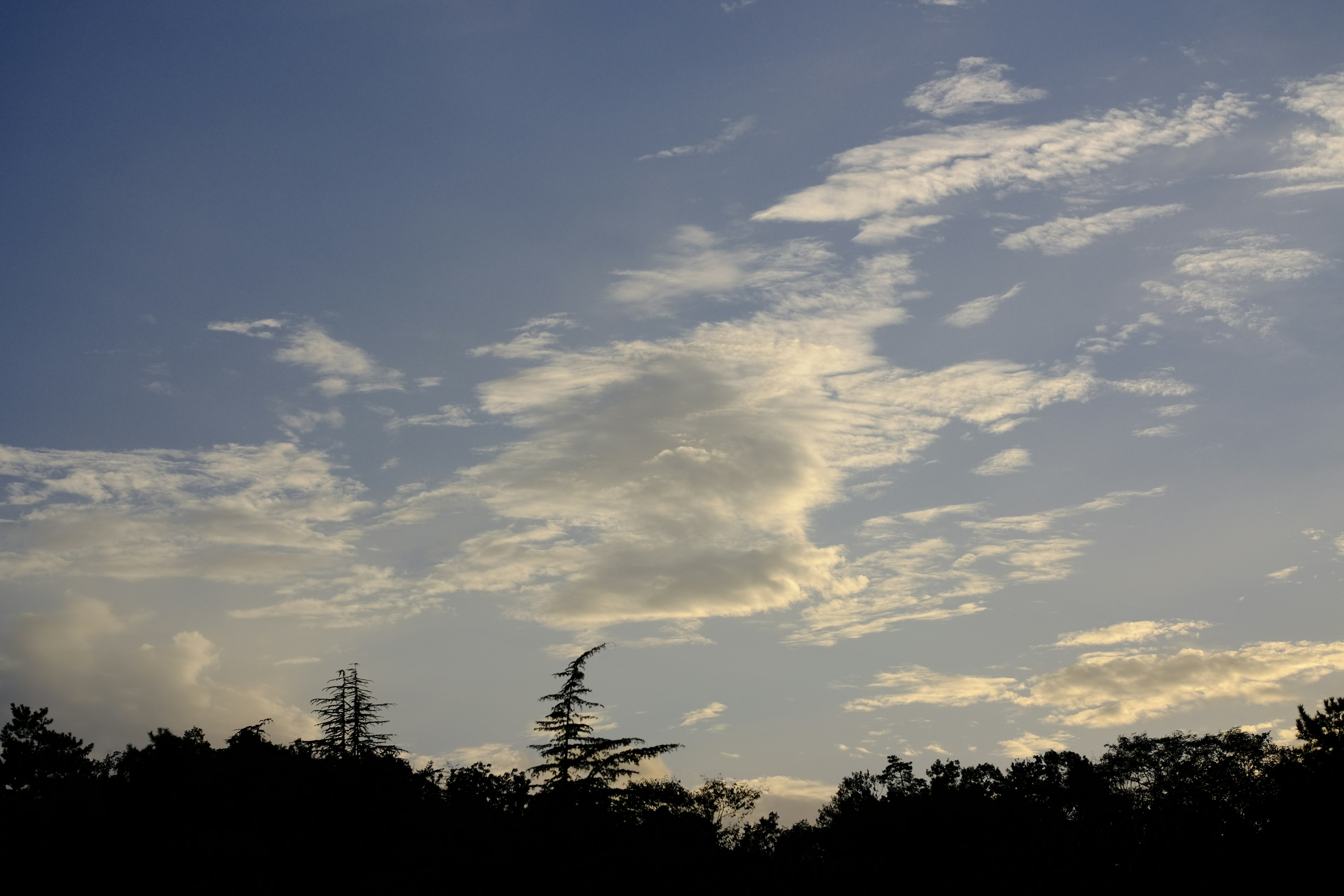 Blue sky with white clouds and silhouettes of trees