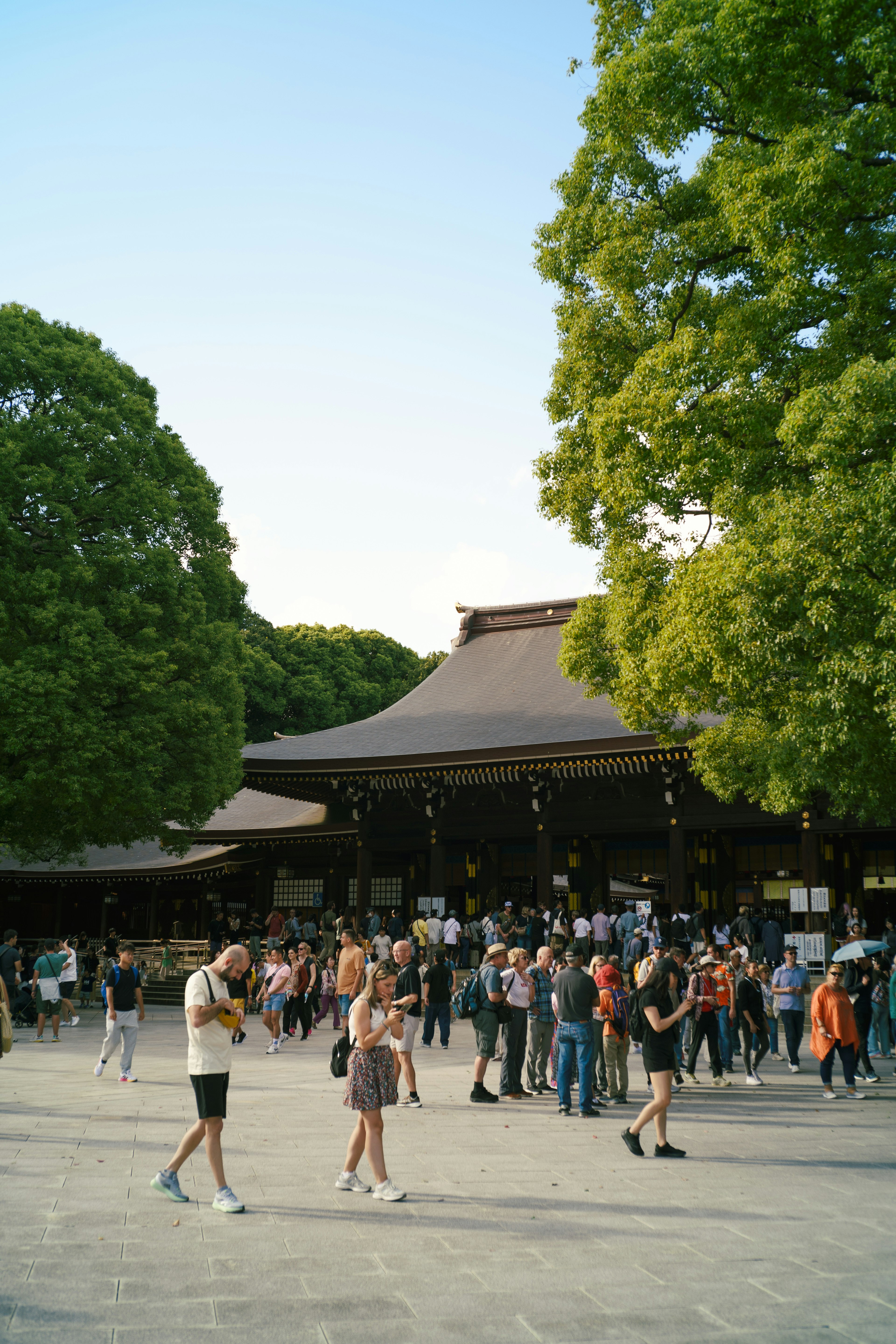 多くの人々が集まる神社の外観と緑の木々