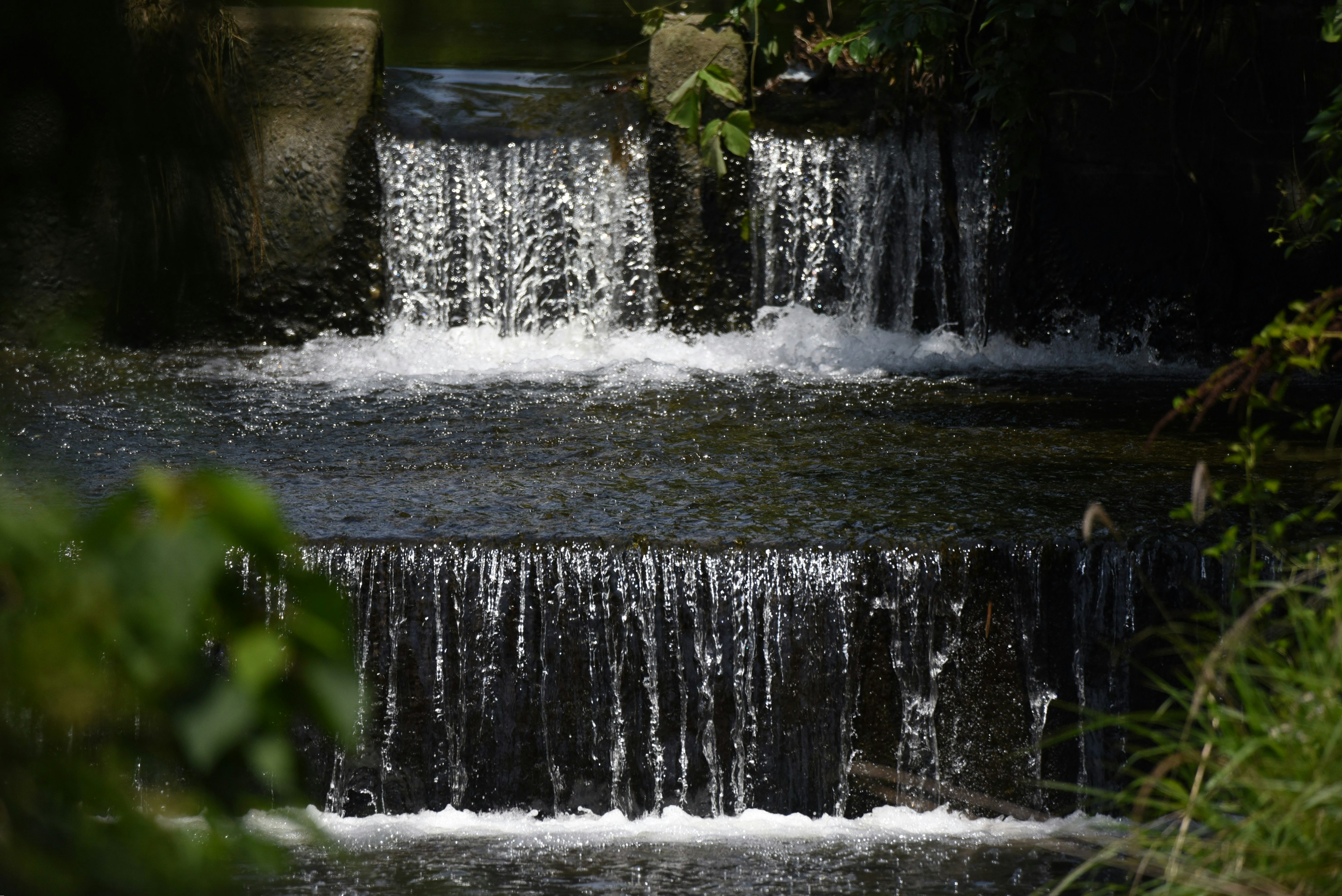 A serene landscape featuring small waterfalls surrounded by lush green plants