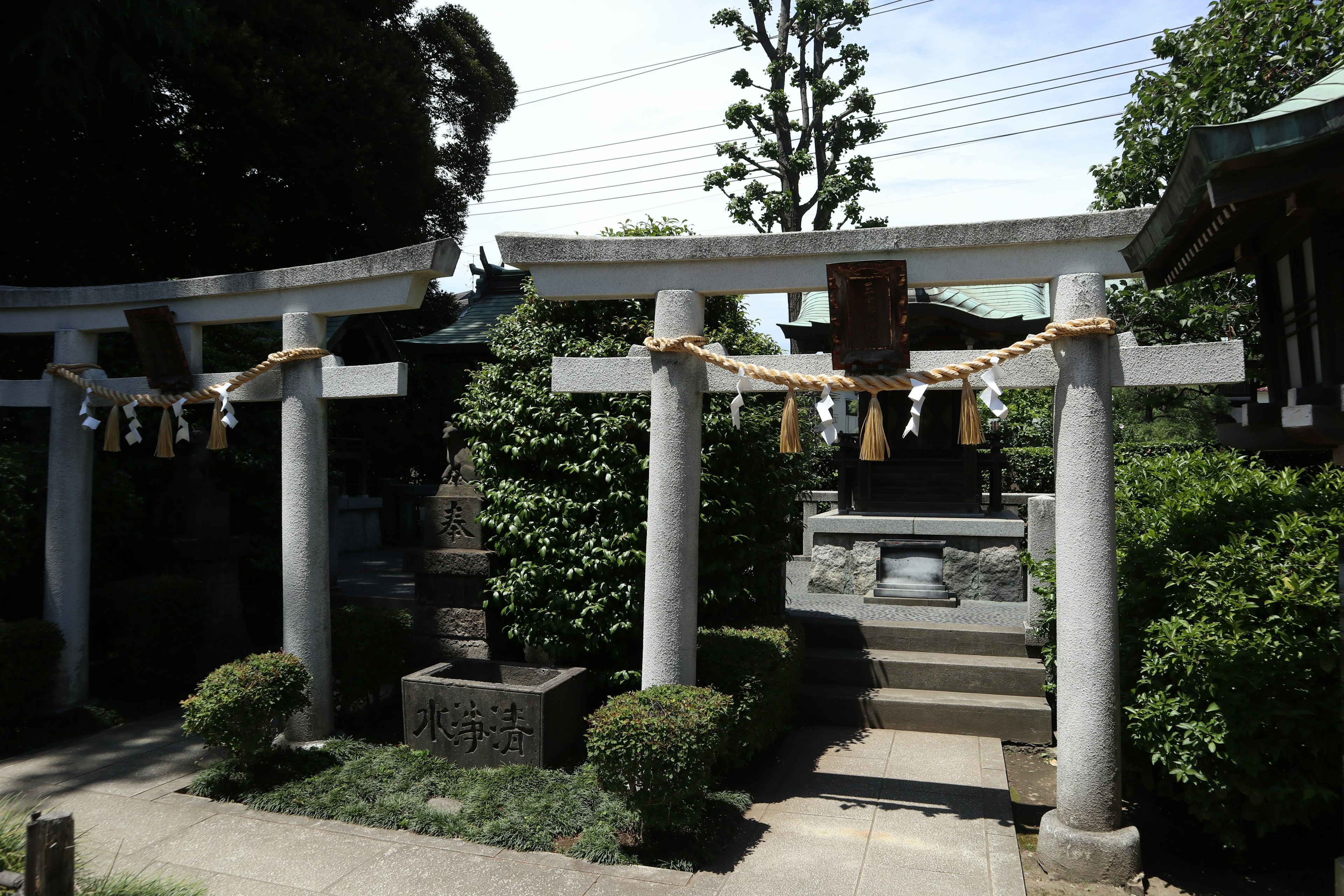 Pemandangan tenang gerbang torii di kuil dikelilingi oleh pepohonan dan tangga batu