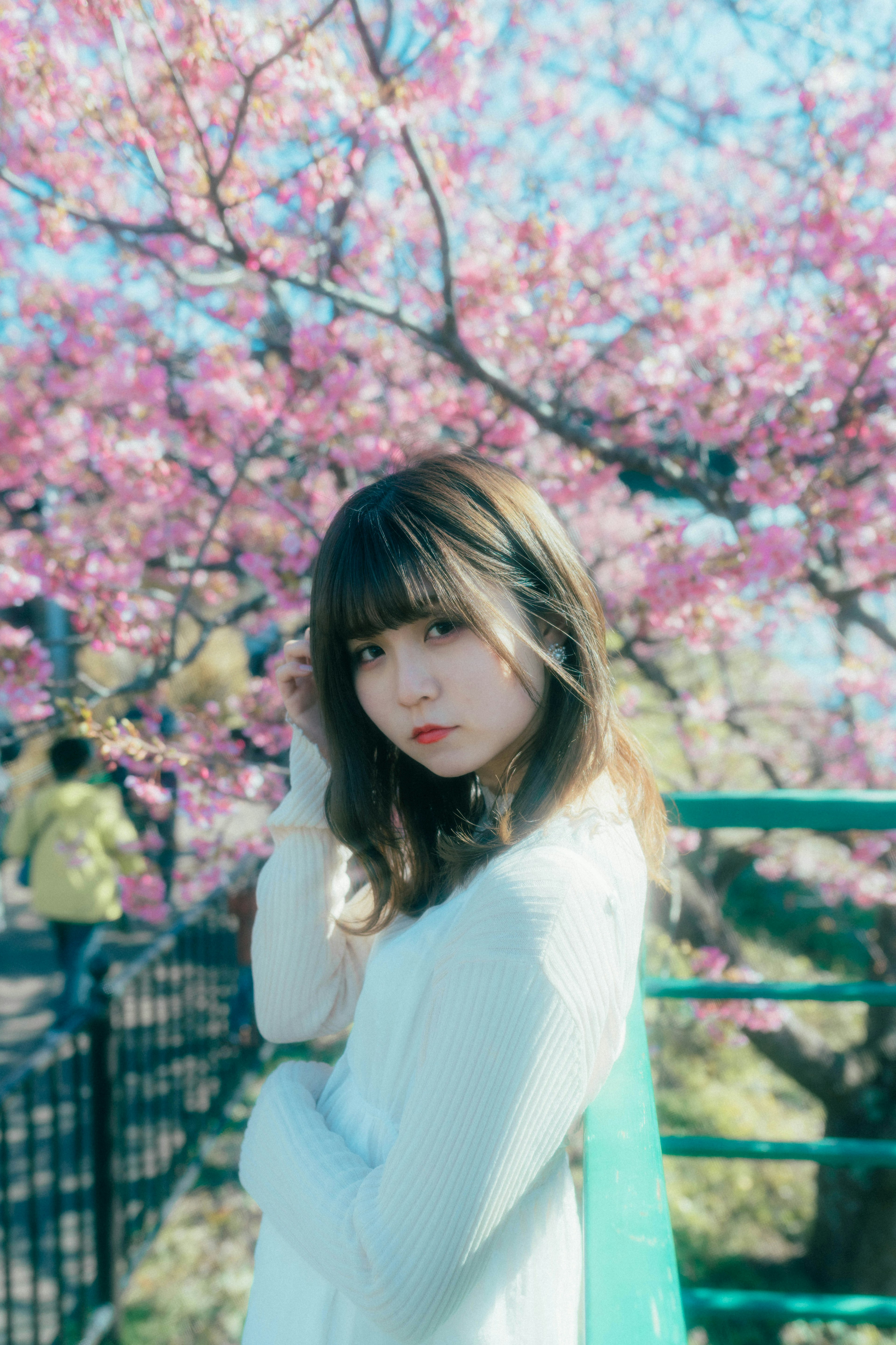 Portrait of a woman in front of cherry blossom trees