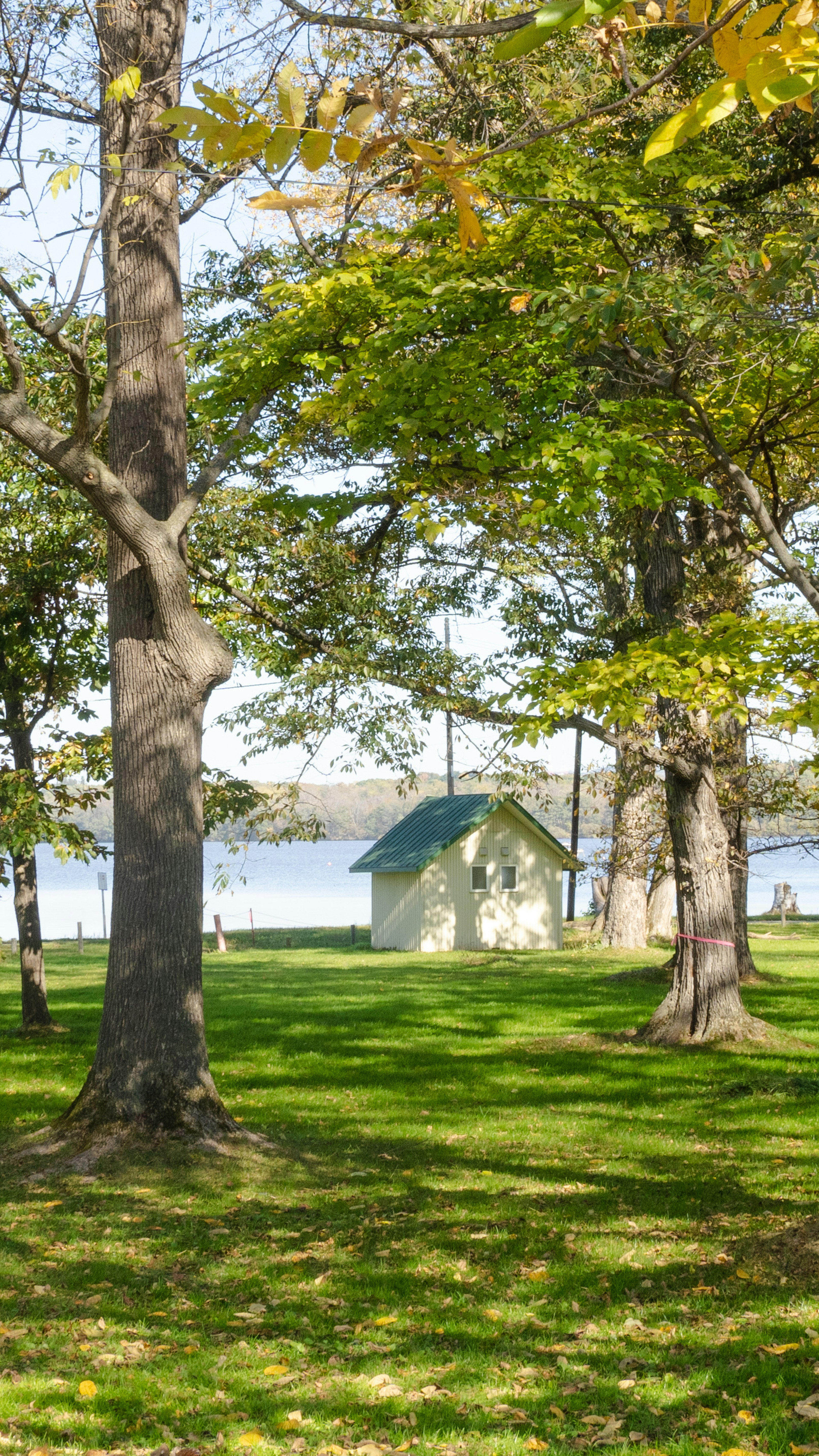 A serene landscape featuring green grass and trees with a small white shed