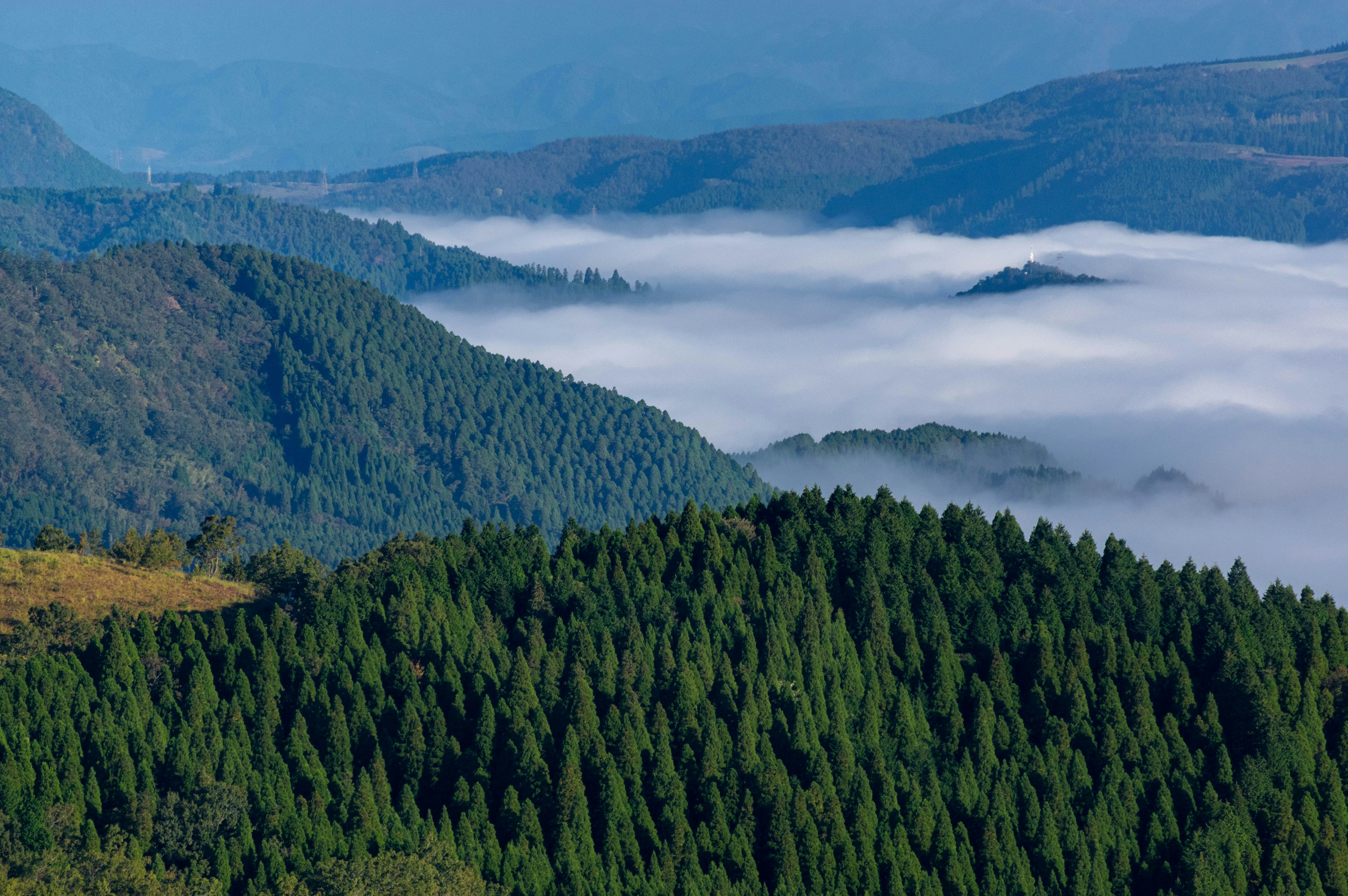 Lush green mountains with a sea of clouds