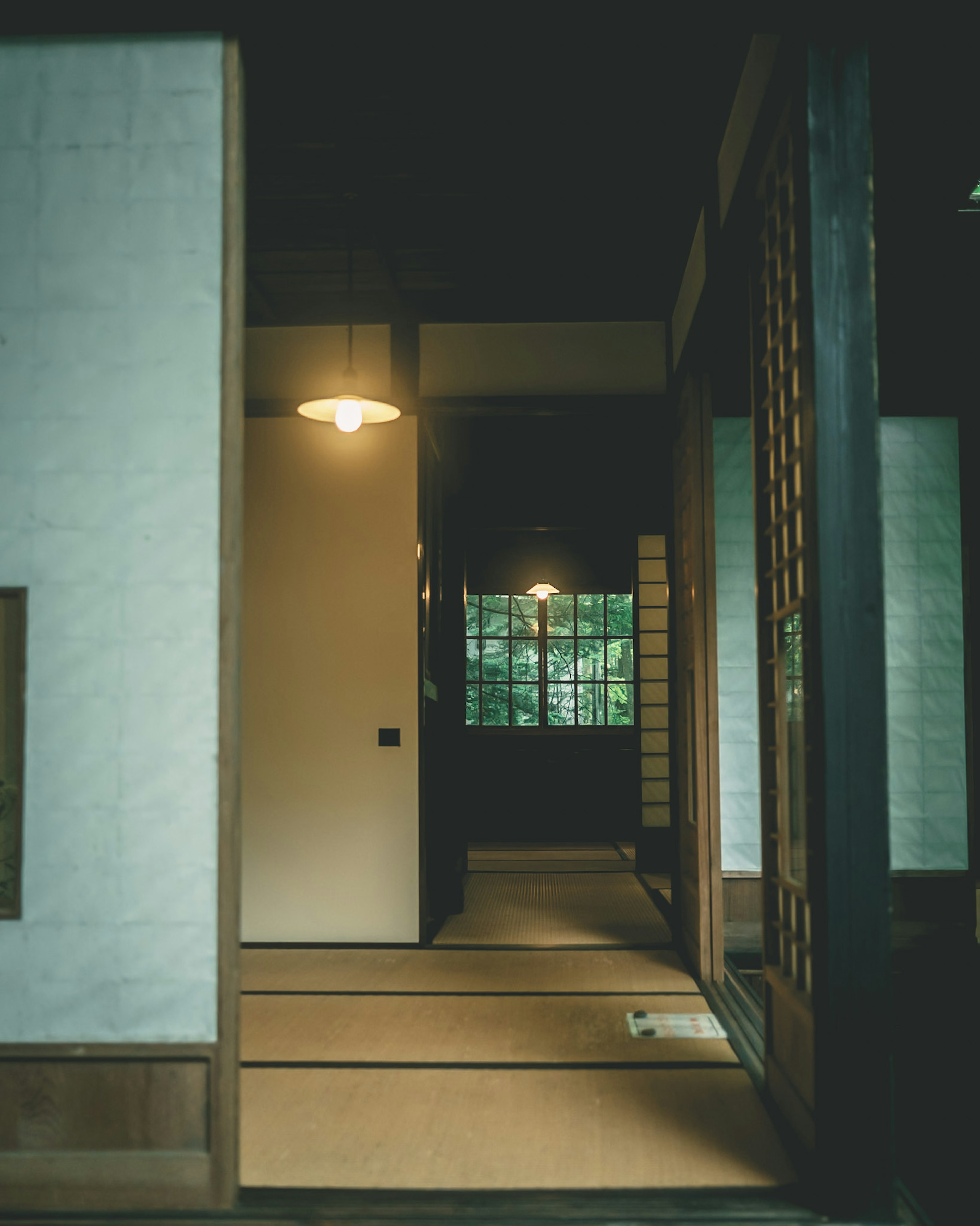 Corridoio interno di una casa giapponese tradizionale con pavimento in tatami struttura in legno illuminazione soffusa e vegetazione visibile dalla finestra