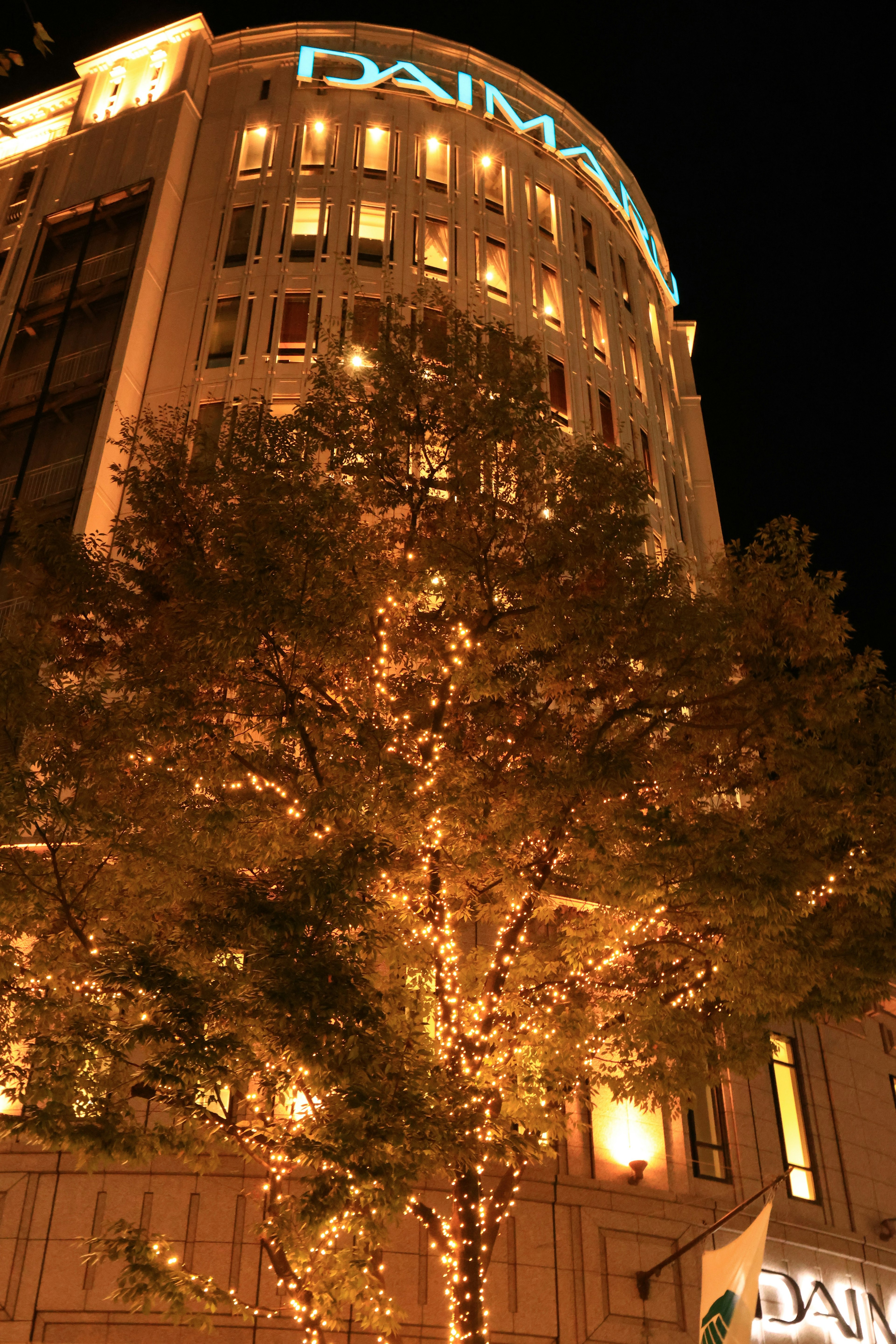 Decorative lights on a tree and a tall building illuminated at night