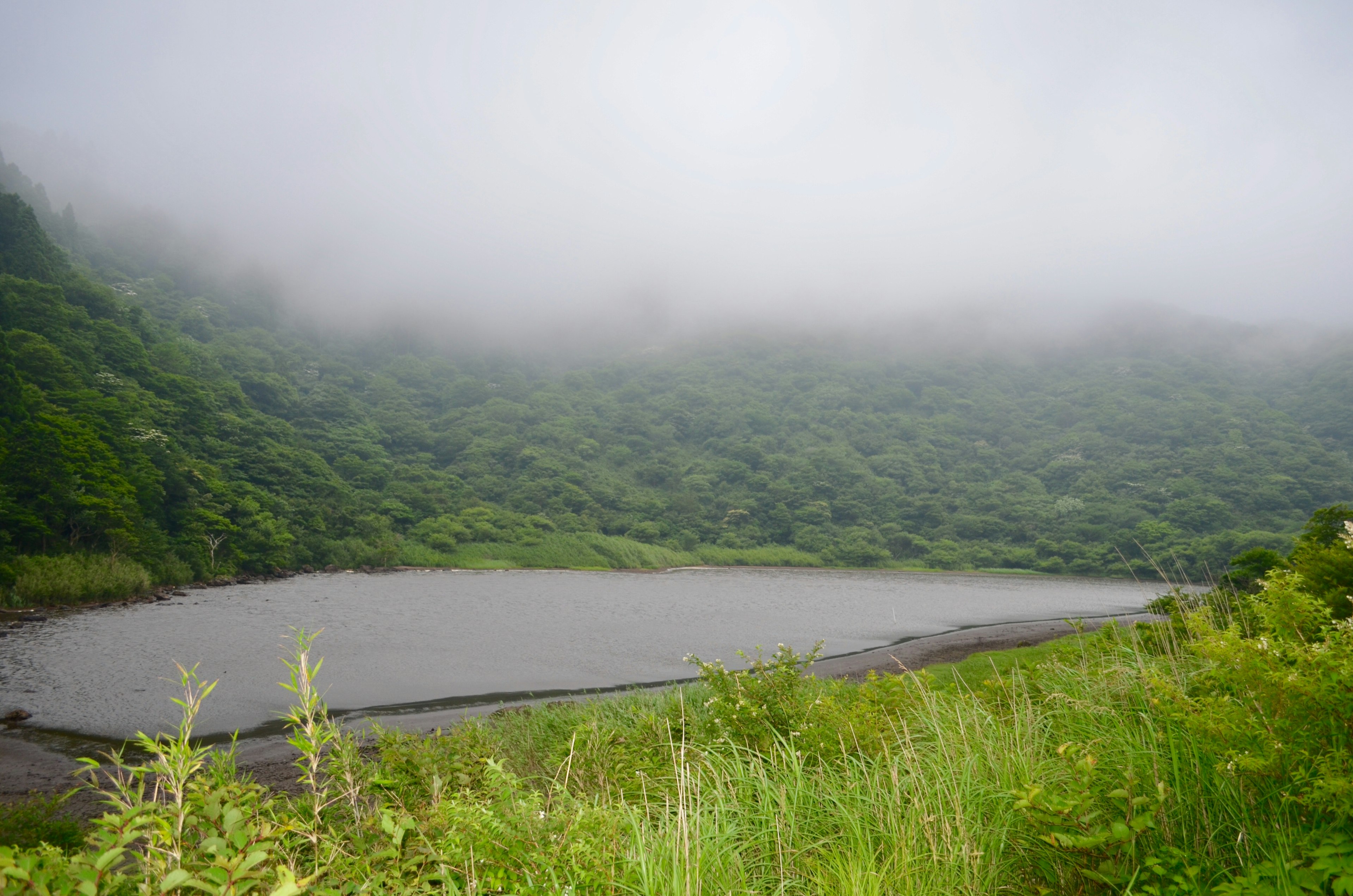 Calm lake surrounded by lush green mountains and fog