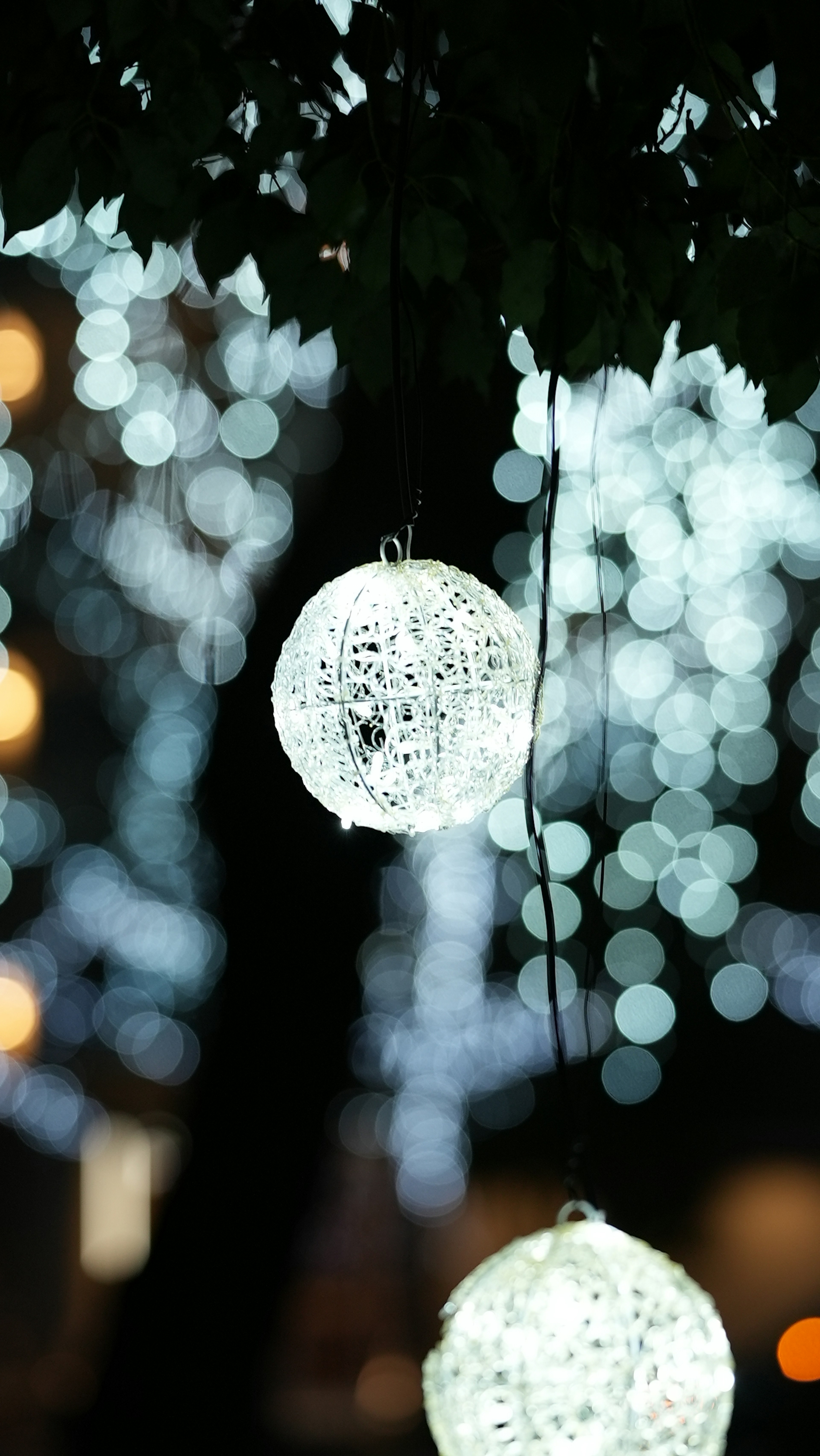 White lanterns hanging from a tree with a blurred blue light background