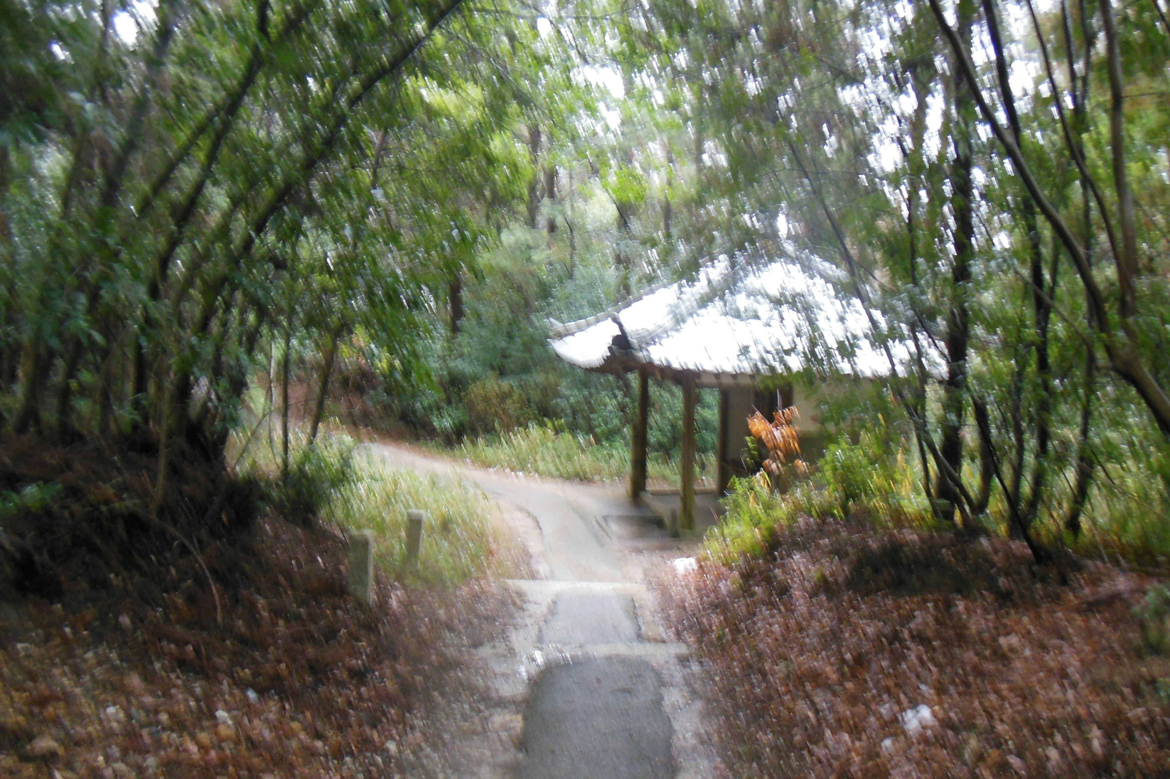 Sentier menant à un pavillon abrité entouré de verdure luxuriante