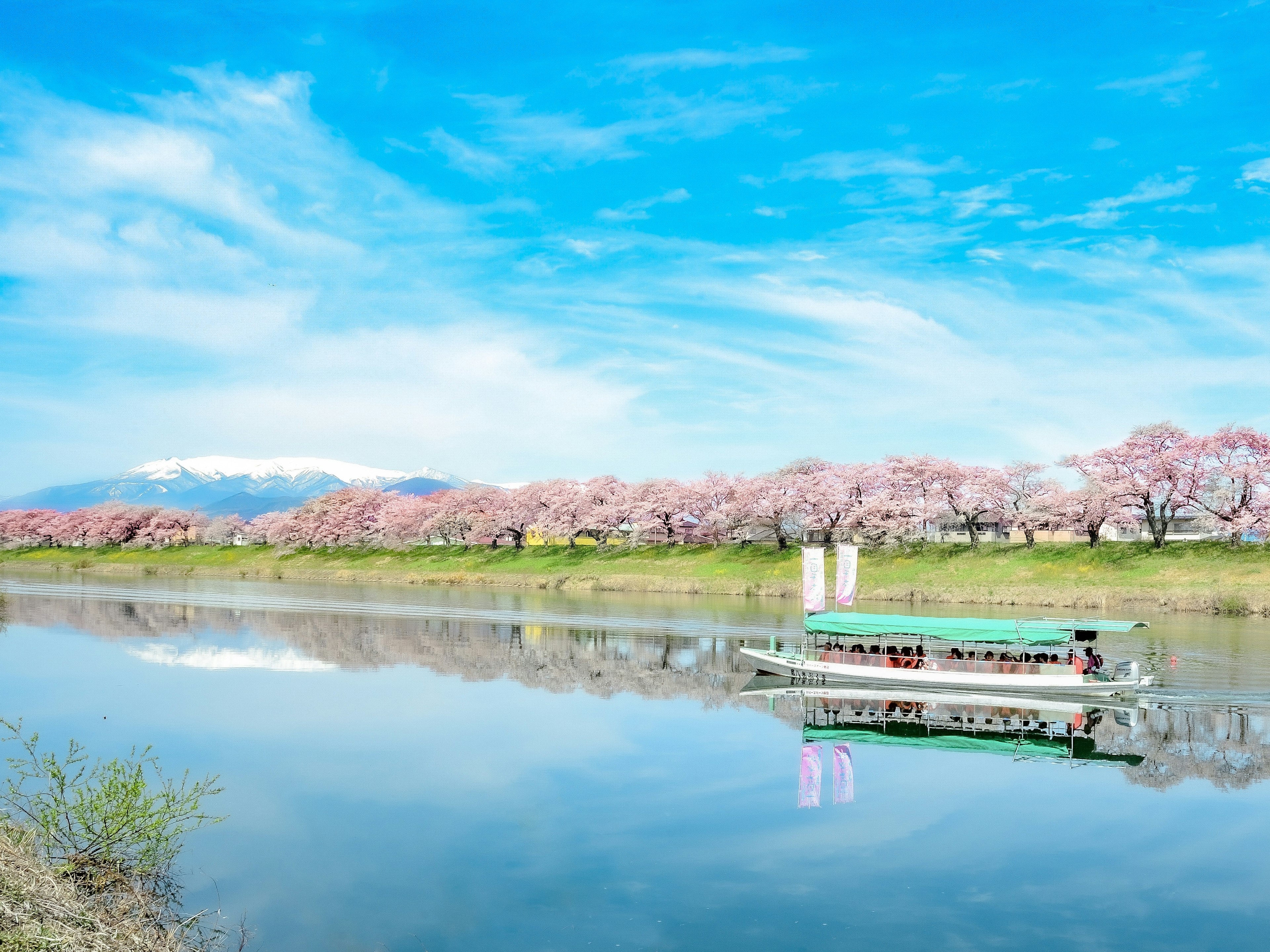 穏やかな川に浮かぶボートと桜の木々が並ぶ美しい風景