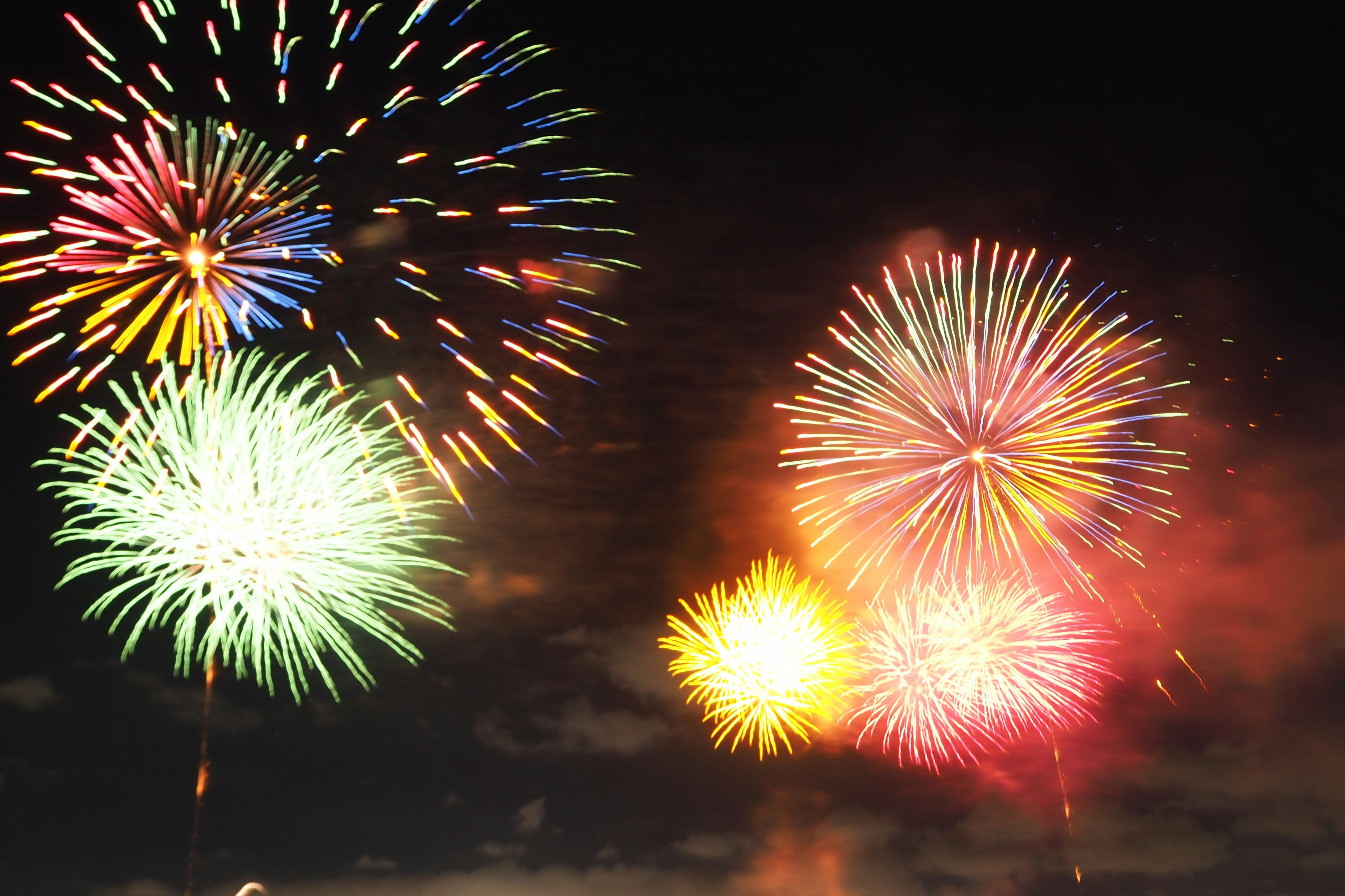 Colorful fireworks exploding in the night sky