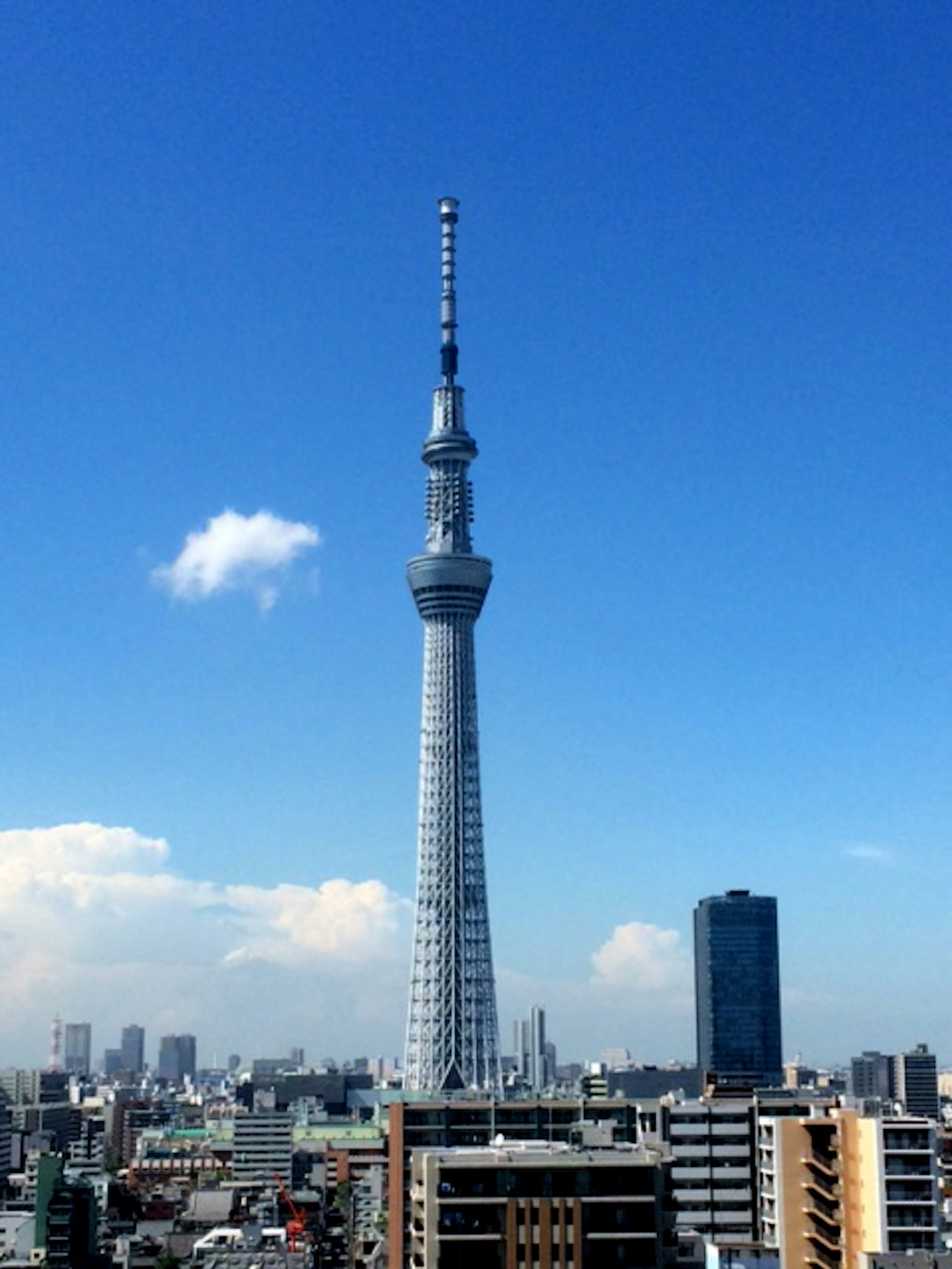 東京スカイツリーが青い空の下にそびえ立っている