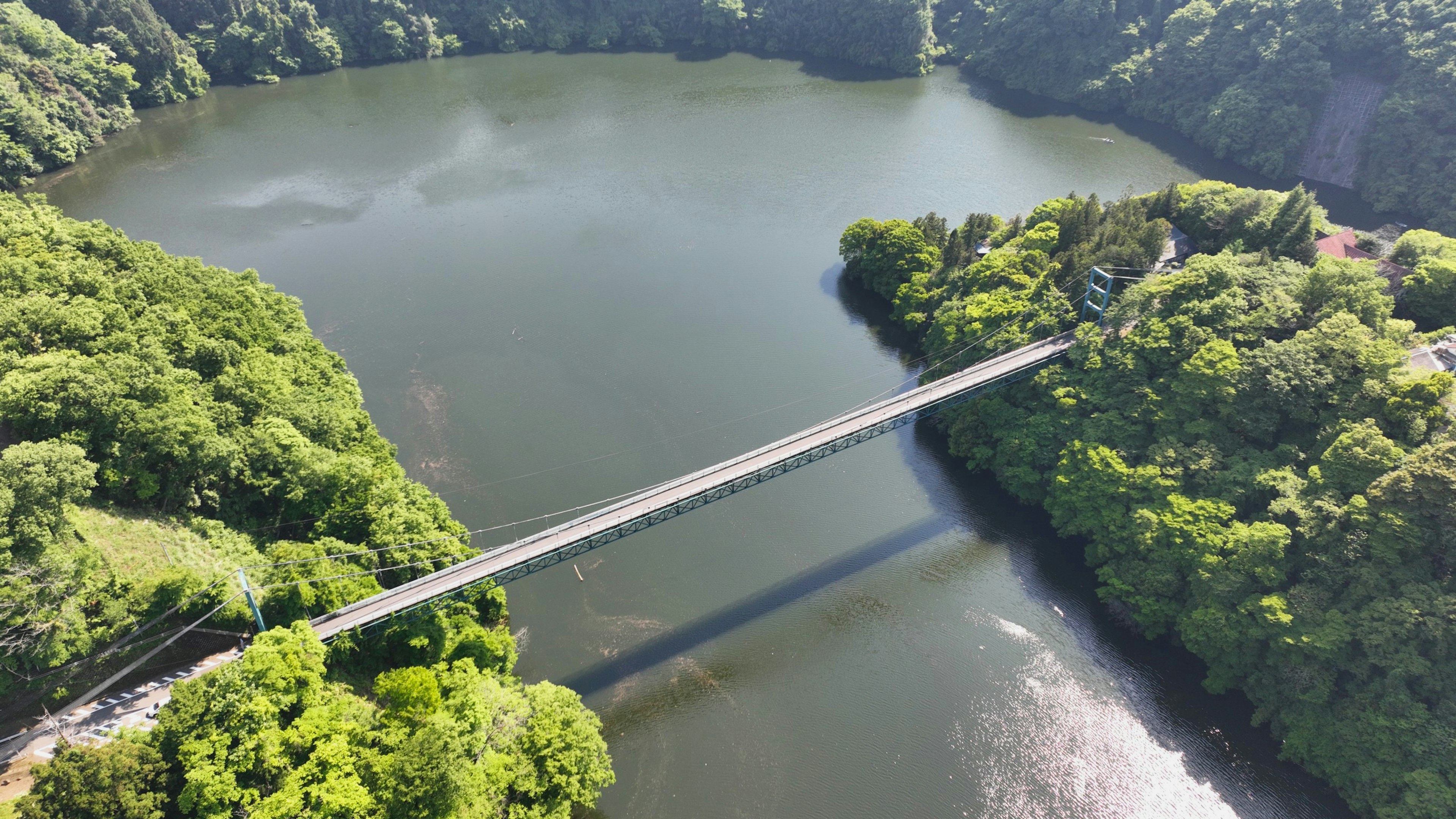 緑に囲まれた湖に架かるスリムな吊り橋の上空からの眺め