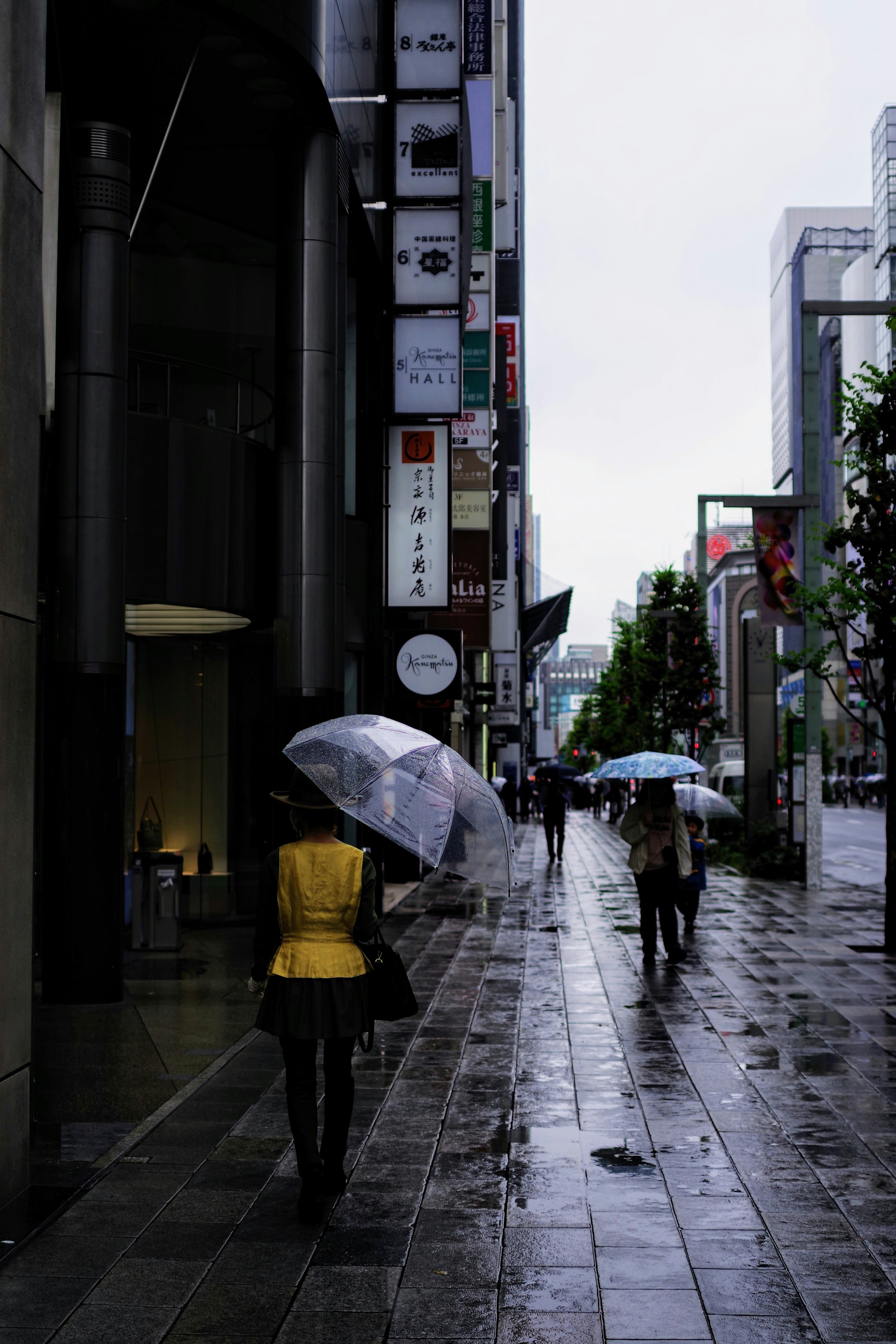 雨の中で傘をさして歩く人々の街並み