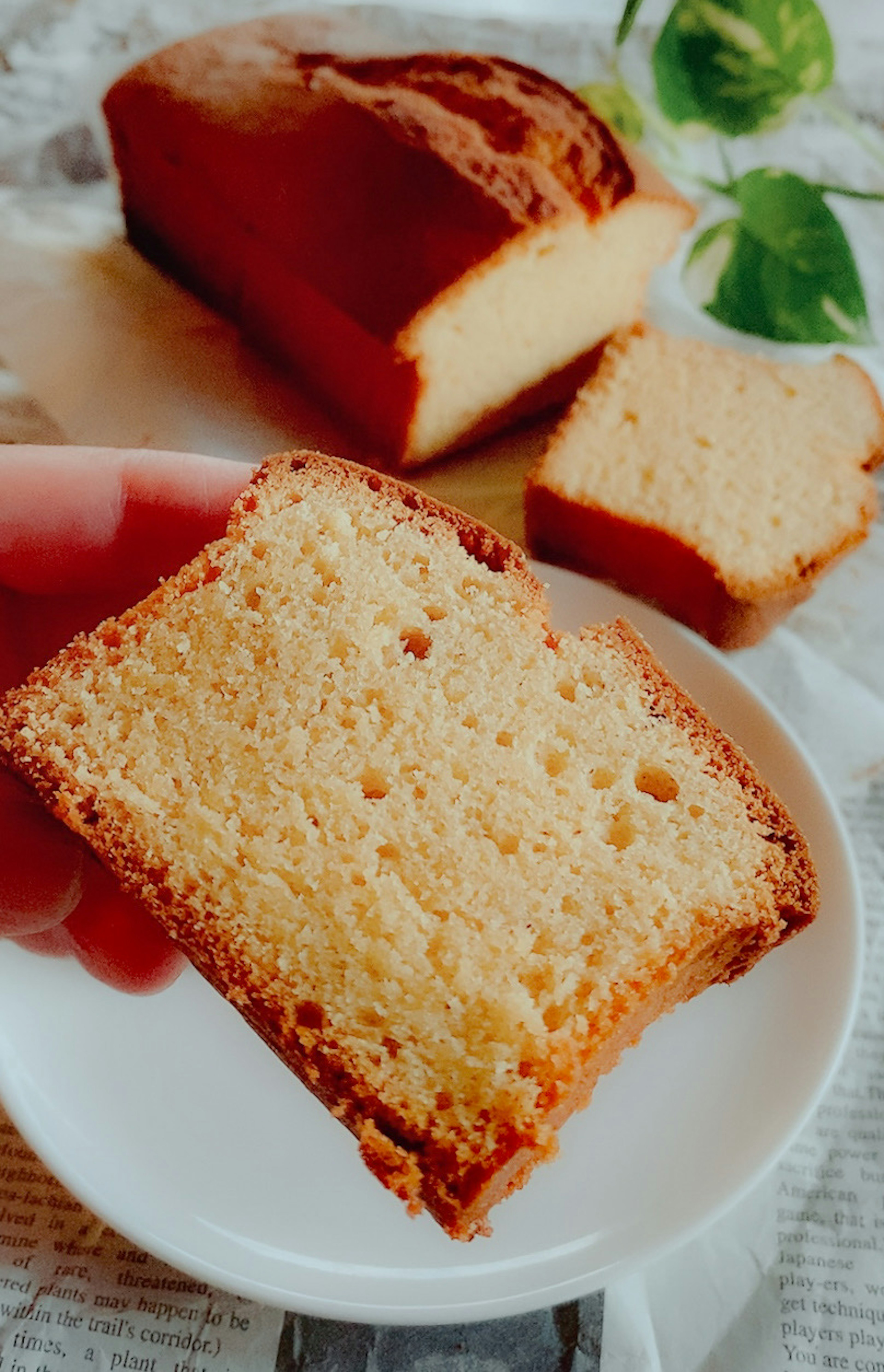 Rebanada de pan recién horneado en un plato blanco