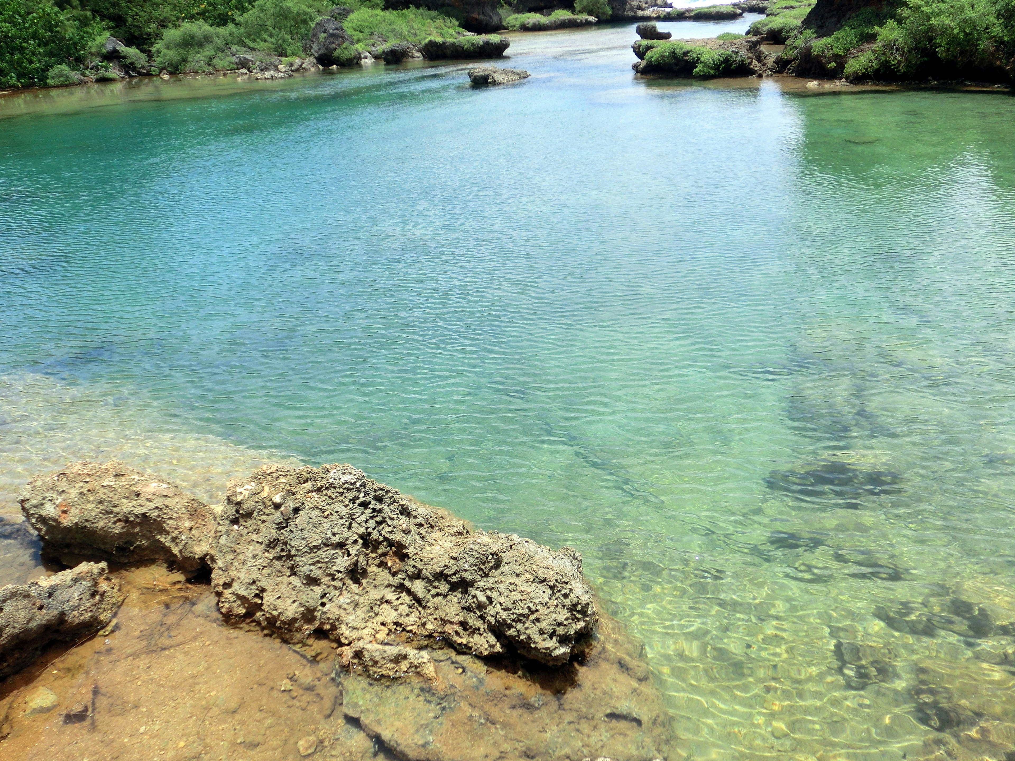 Beautiful river landscape featuring clear water and rocks