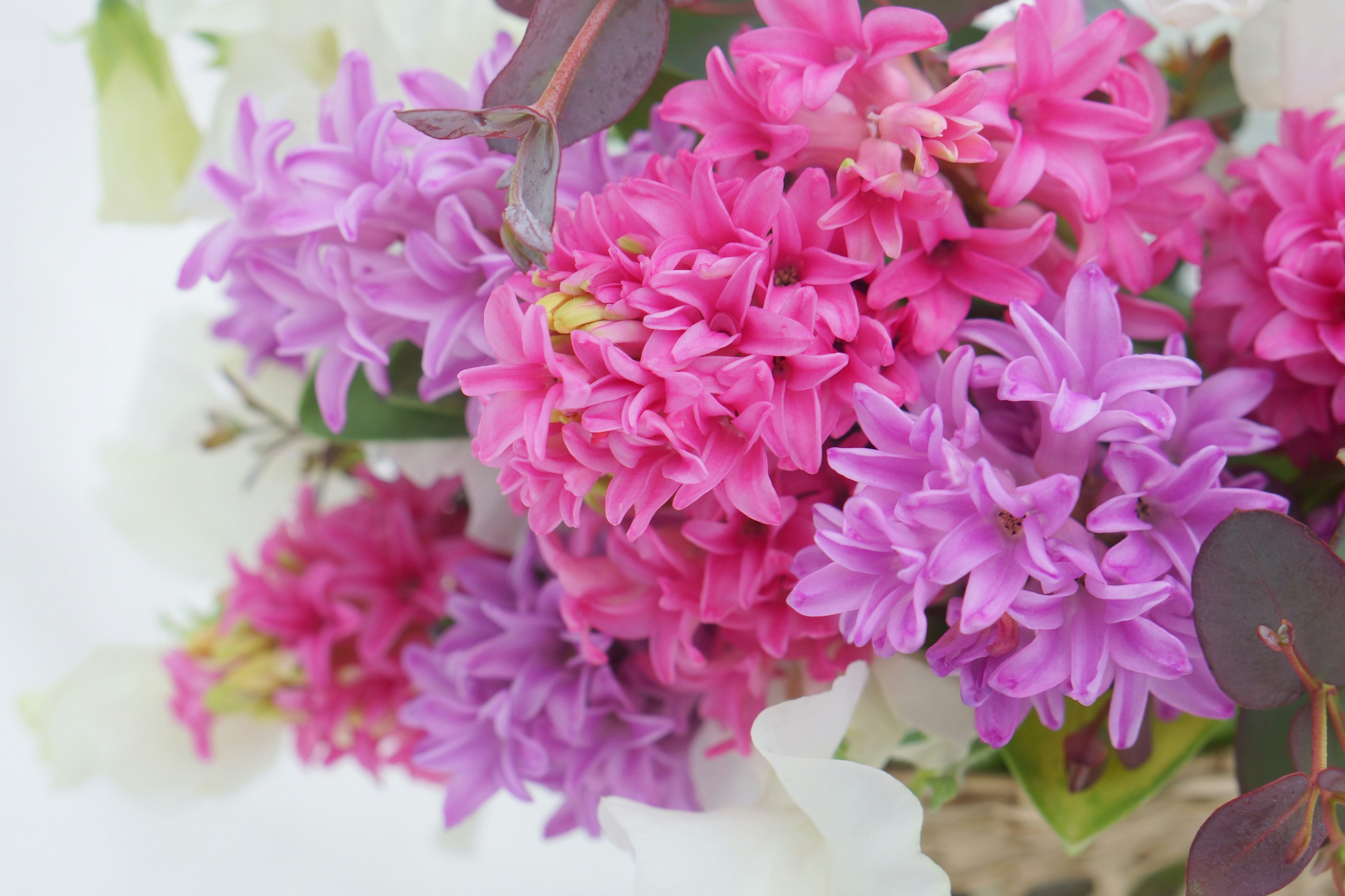 Lebendiger Strauß aus rosa und lila Blumen mit weißen Blüten im Hintergrund