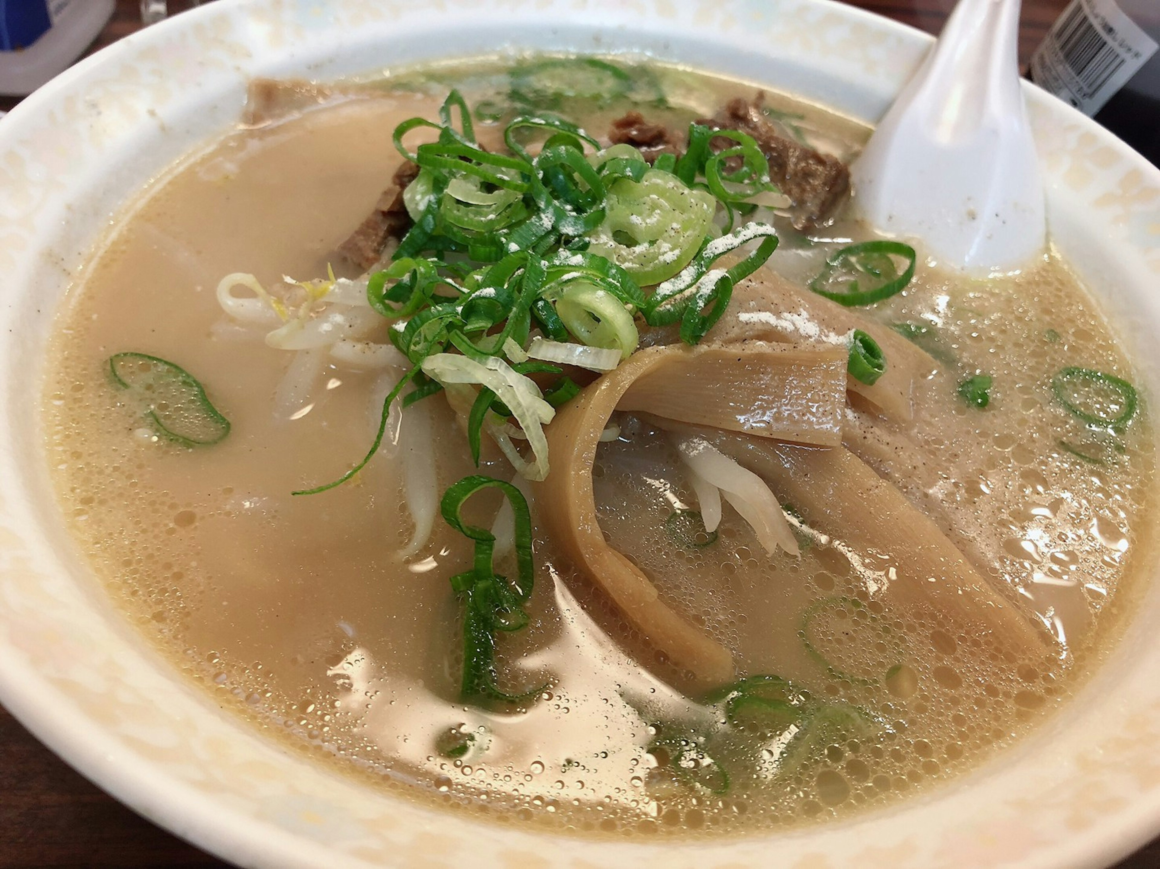 Tazón de ramen con caldo y aderezos de cebollas verdes y chashu